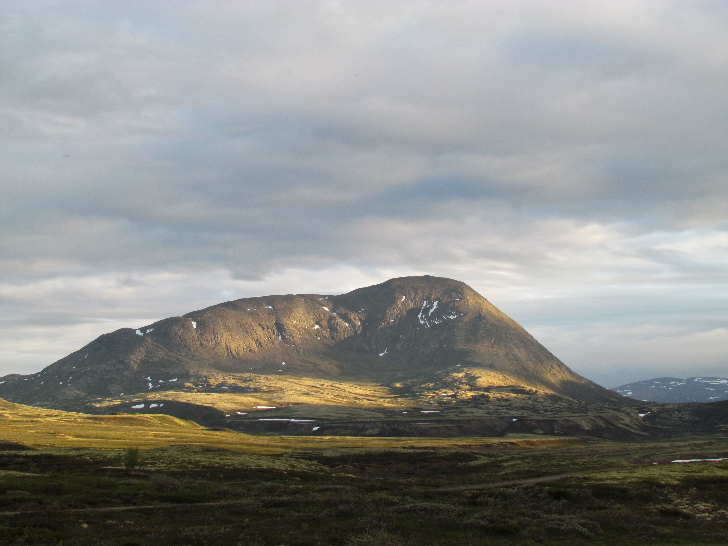 Tildeling av villreinjakt 2018, innenbygdsboende.