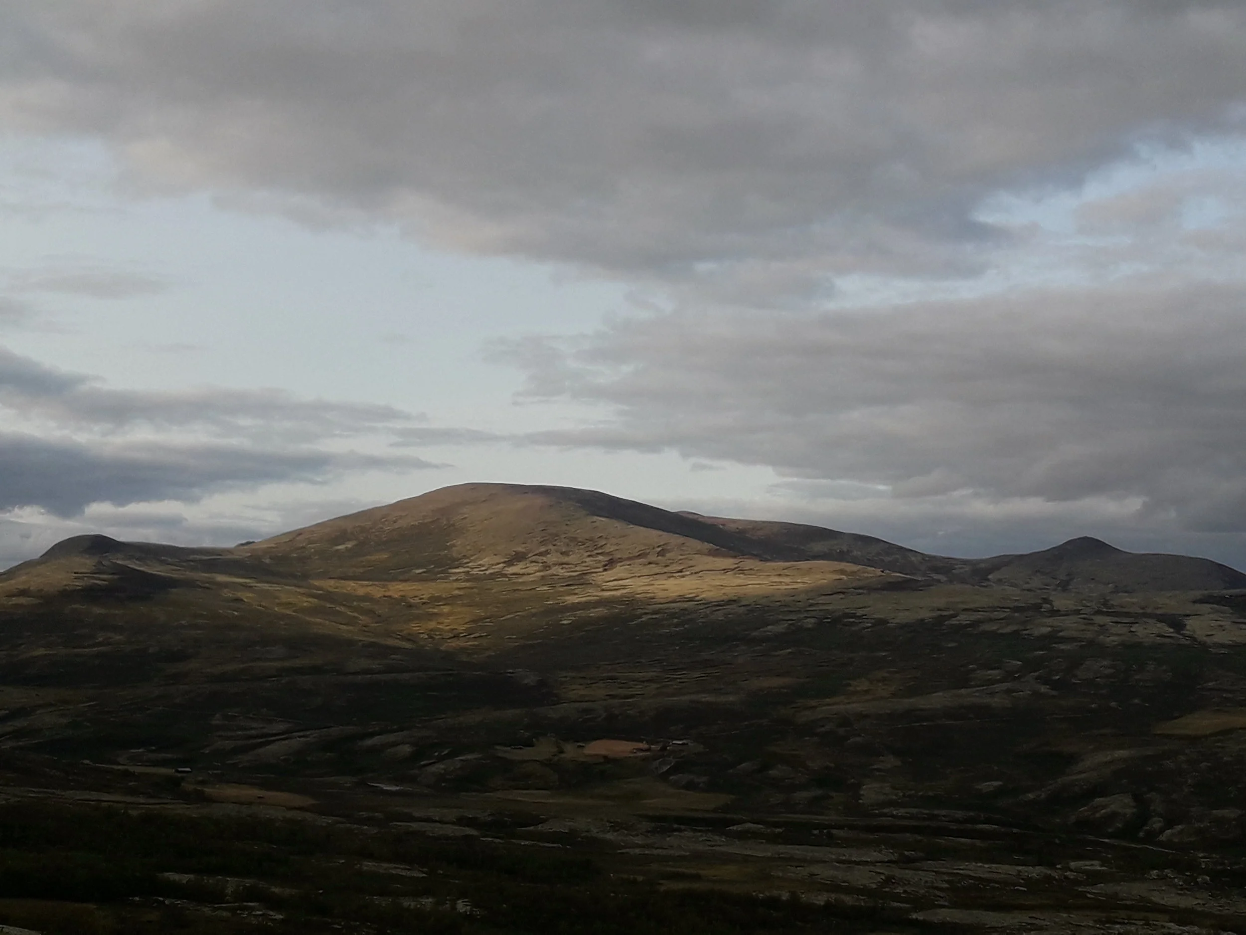 Søknader på jakt 2019.