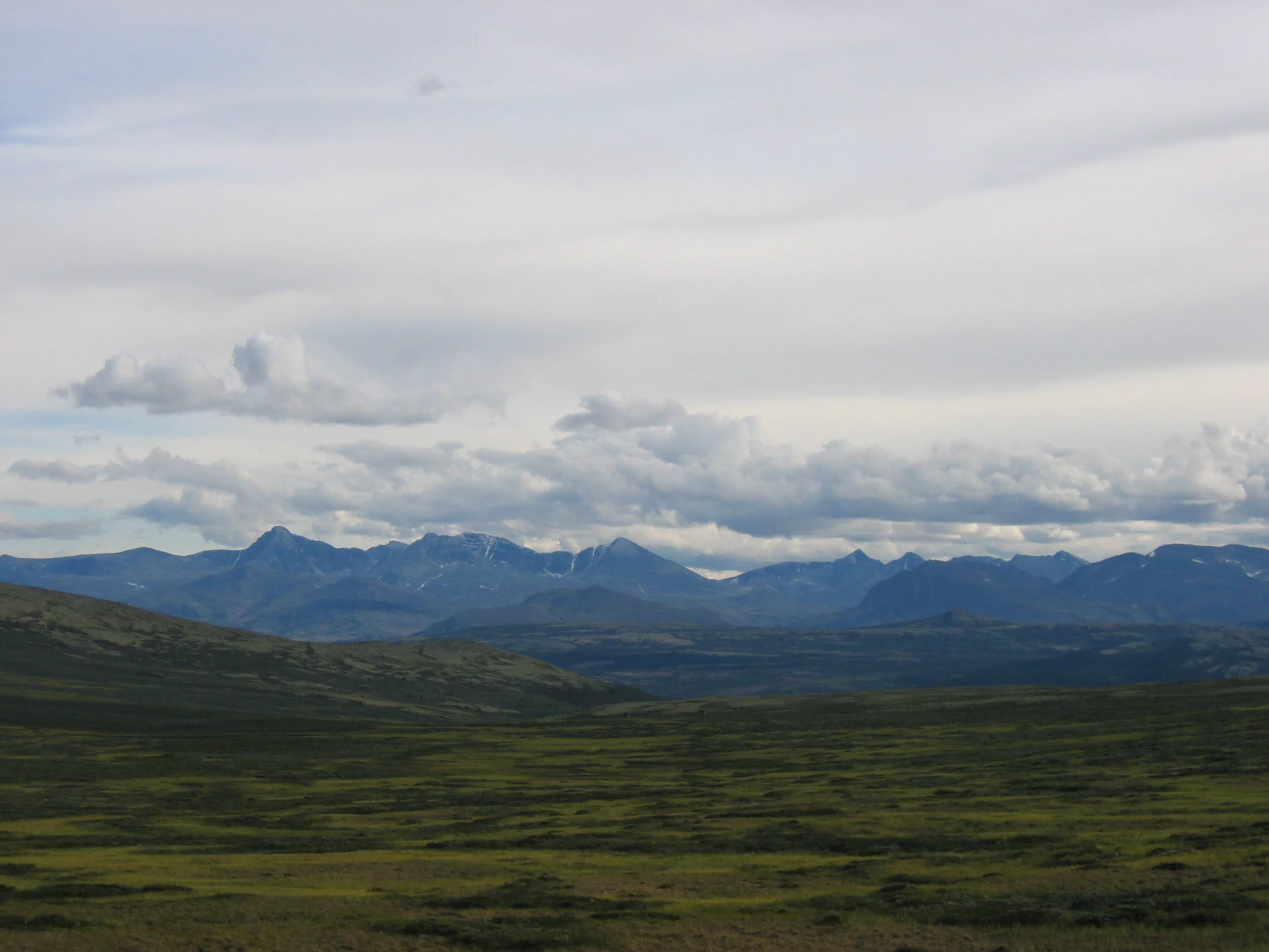 Søknad Elg, Hjort, Villrein og Rådyr -jakt Folldal statsalmenning 2020.