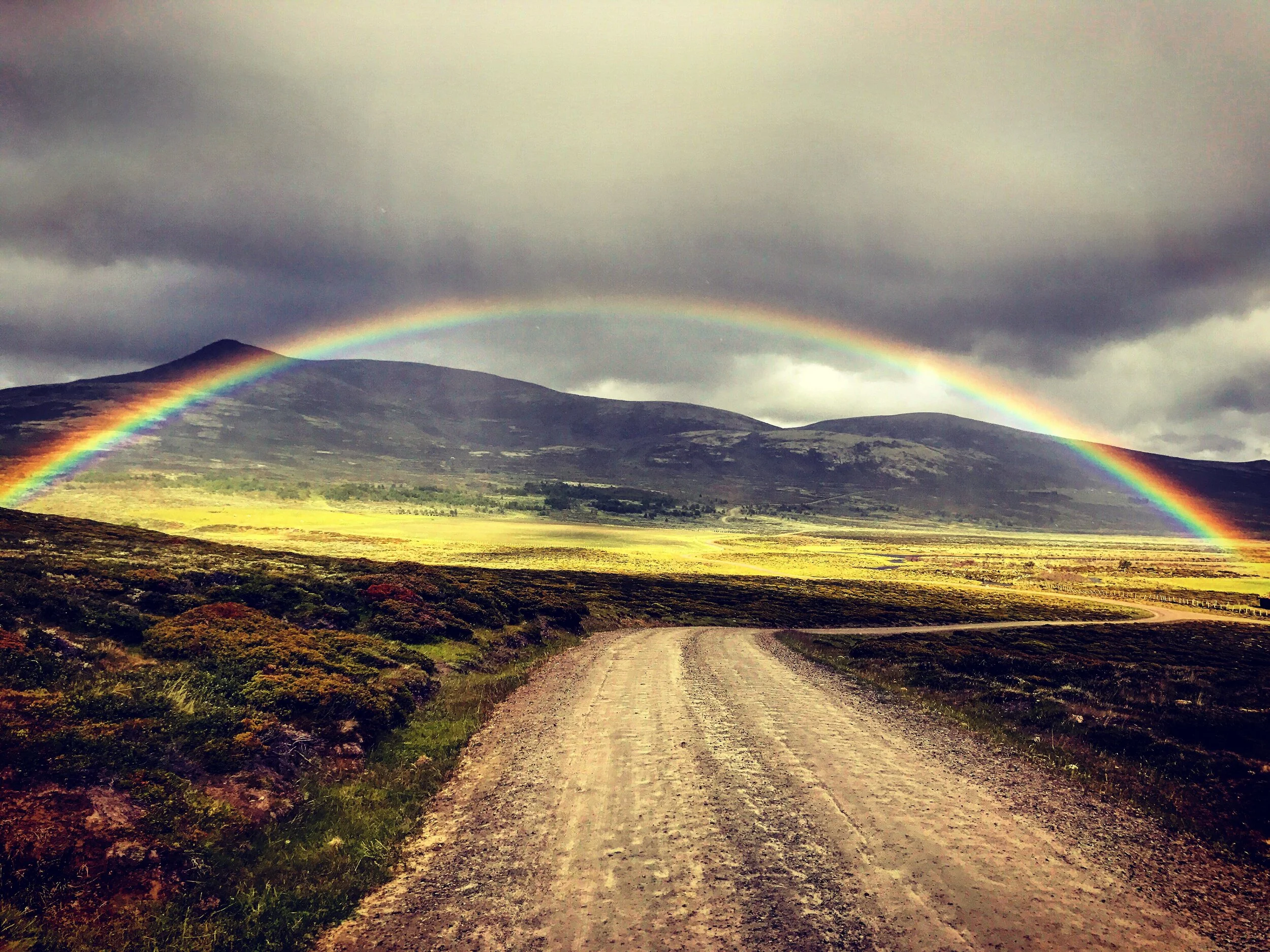 Info om smitteverntiltak  i Folldal statsallmenning
