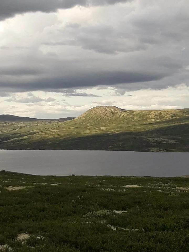 Villreinjakt henting av kort mm.