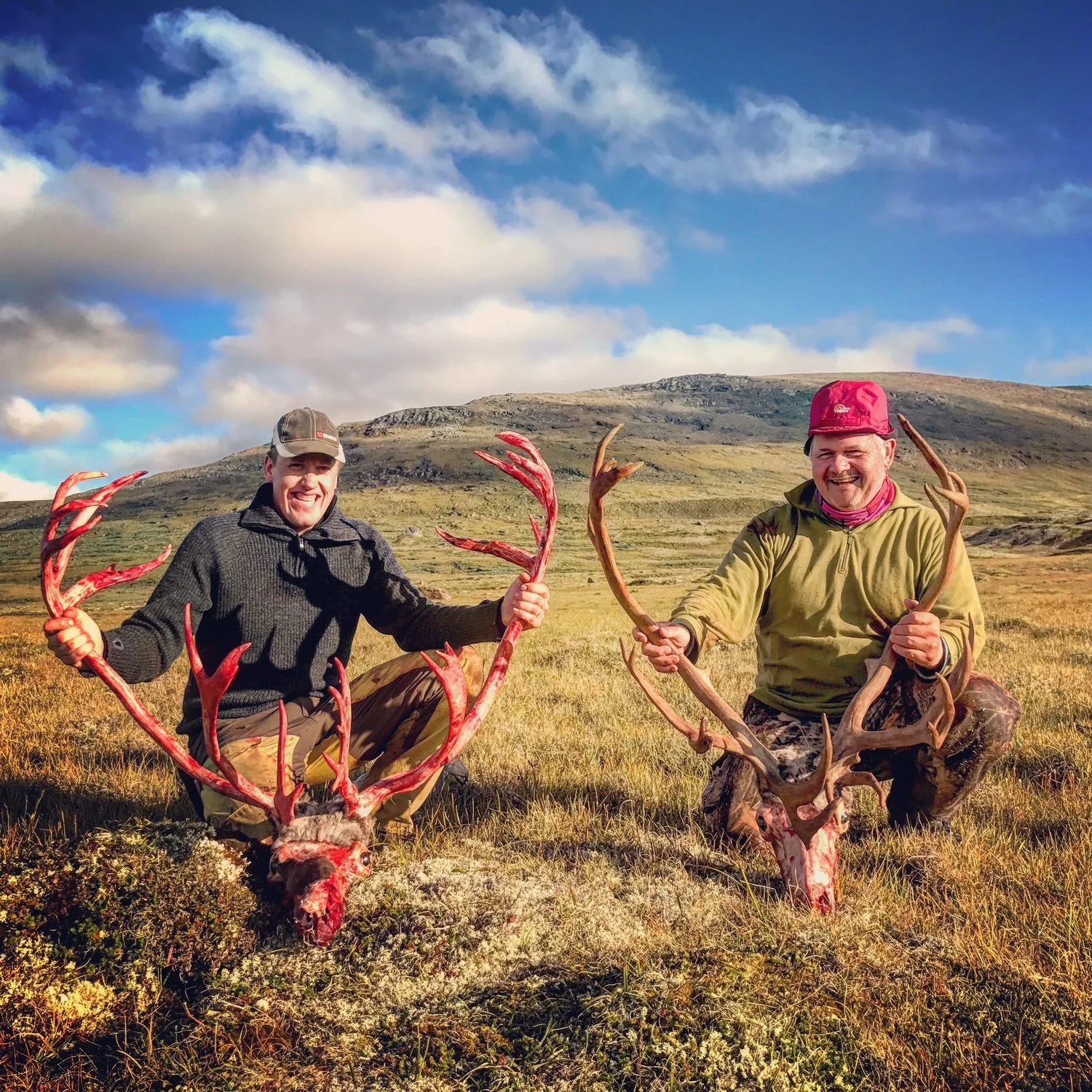 Åpent for søknad på småviltjakt og villreinjakt i Folldal statsallmennning 