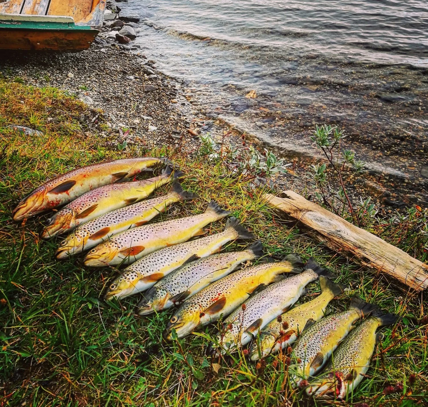 Høringsbrev. Forslag til nye fiskeregler i Statsallmenningen.