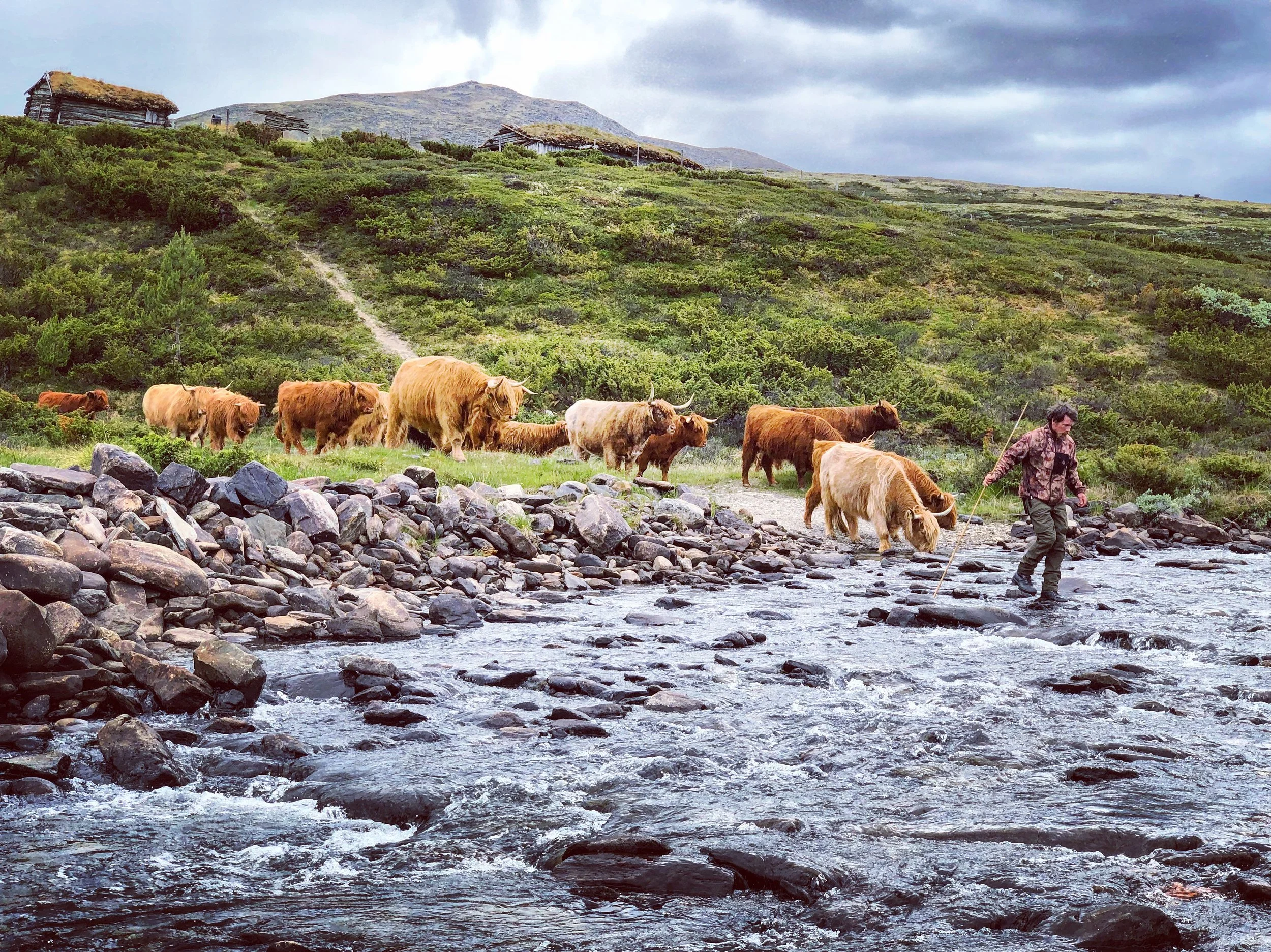 Tidlig beiteslipp 28.mai