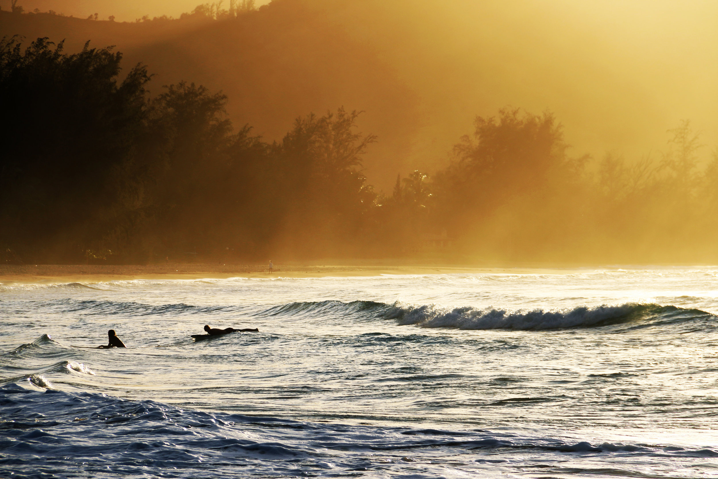 Kauai 3high contrast.jpg