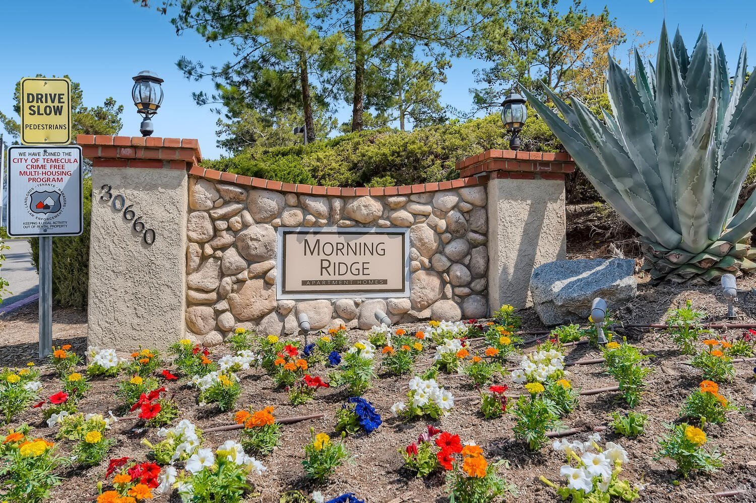 Gorgeous Morning Ridge Monument sign with colorful flowers for serene ambiance