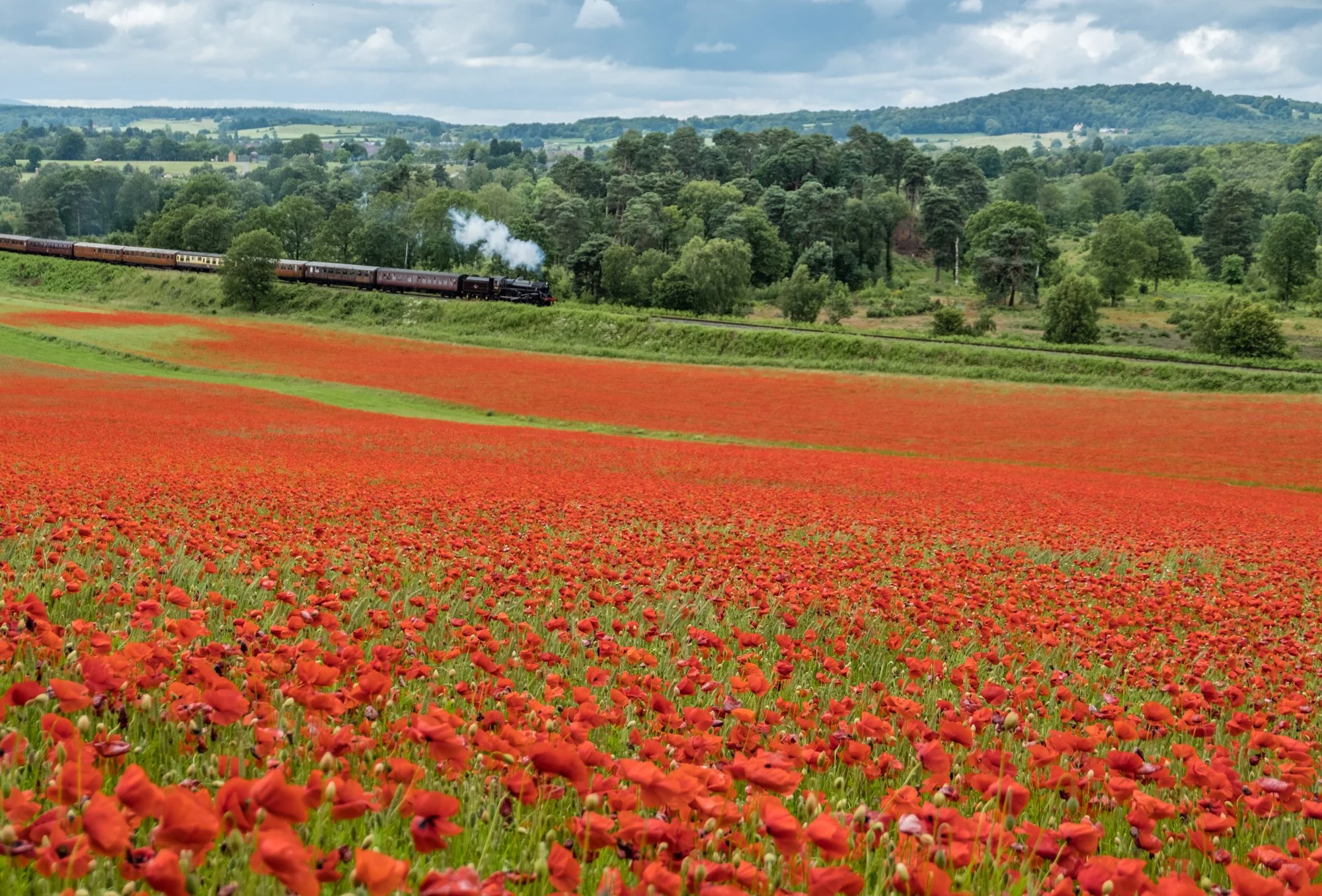 Tom-Gracie-02696-01 .jpg