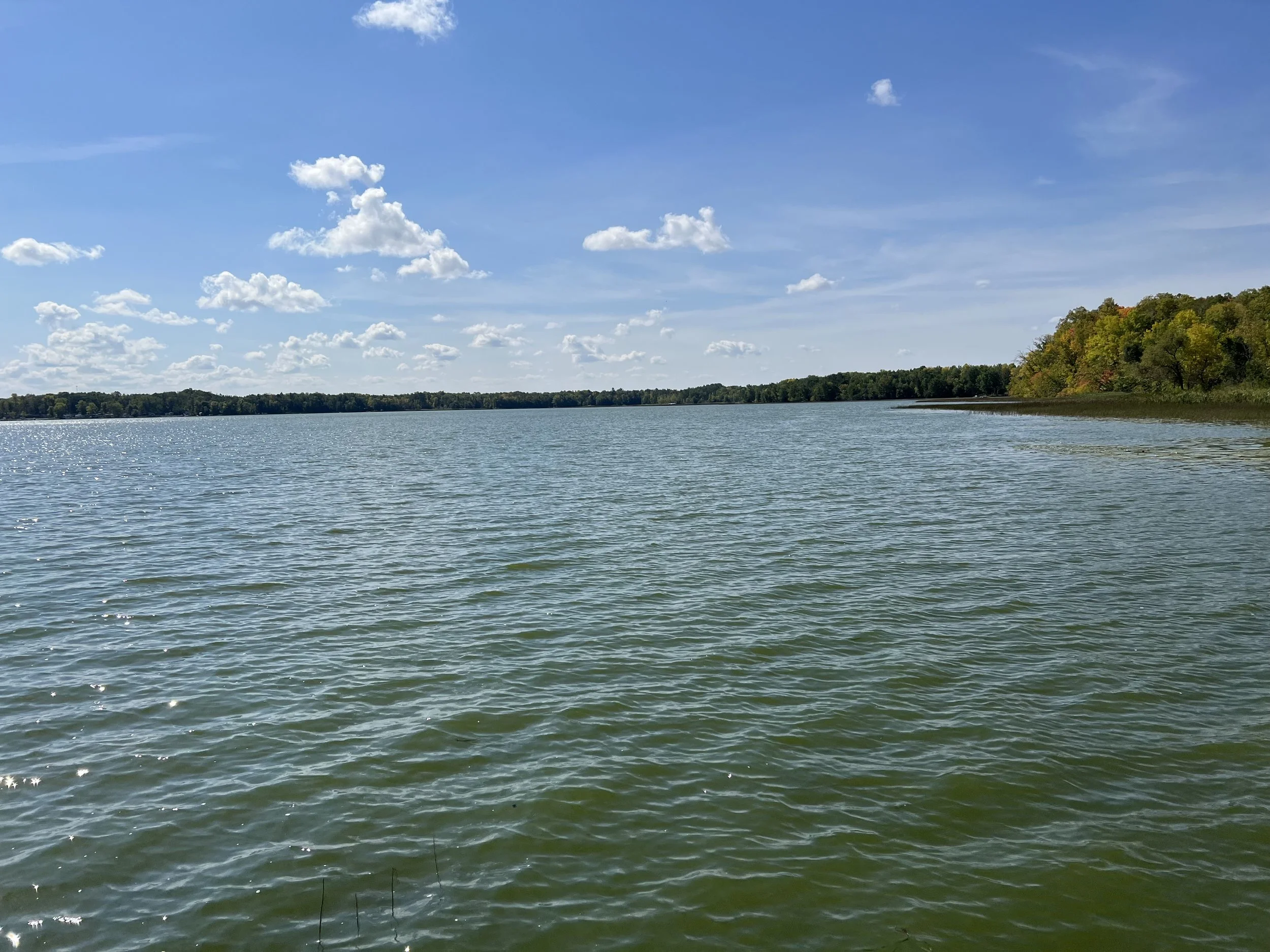 IMG_4376.JPG