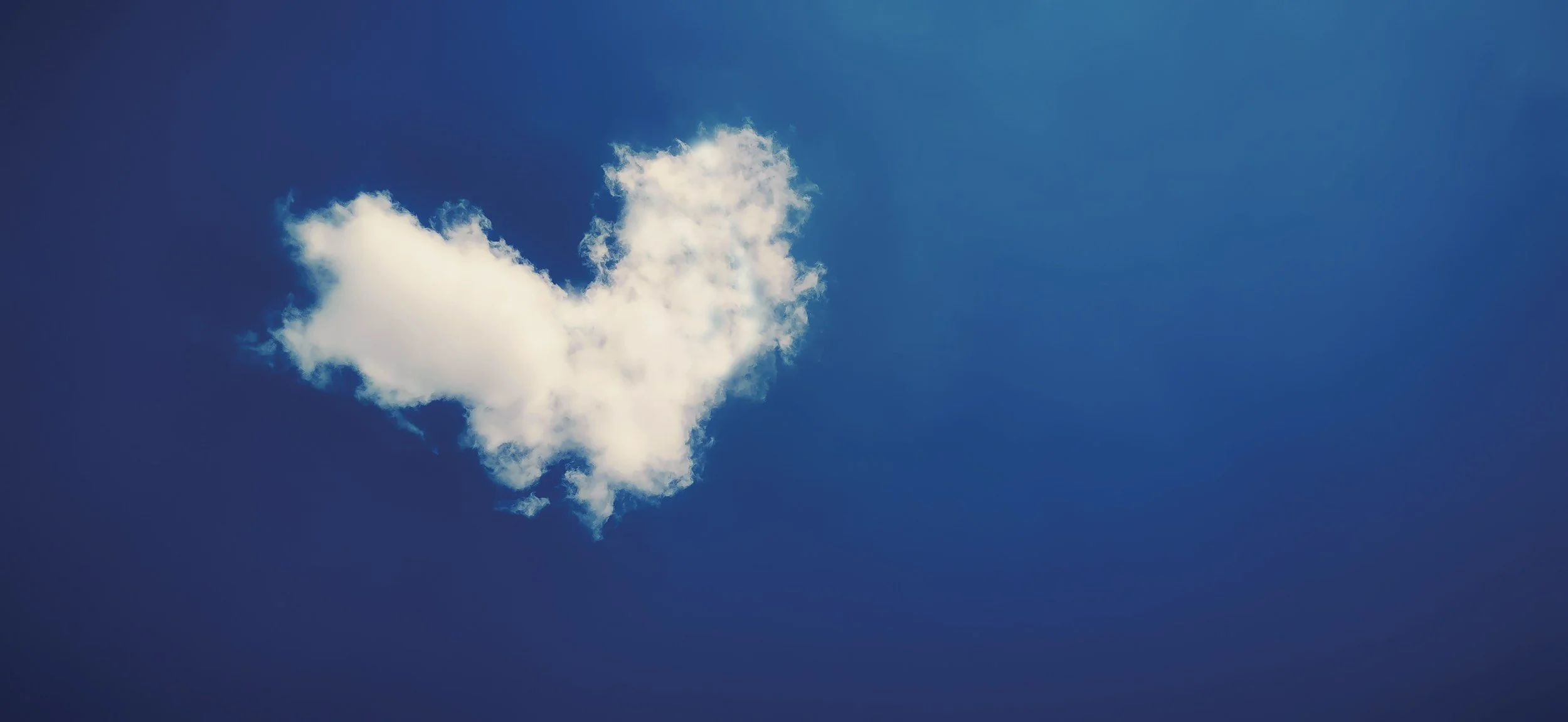 The Gift We All Carry 