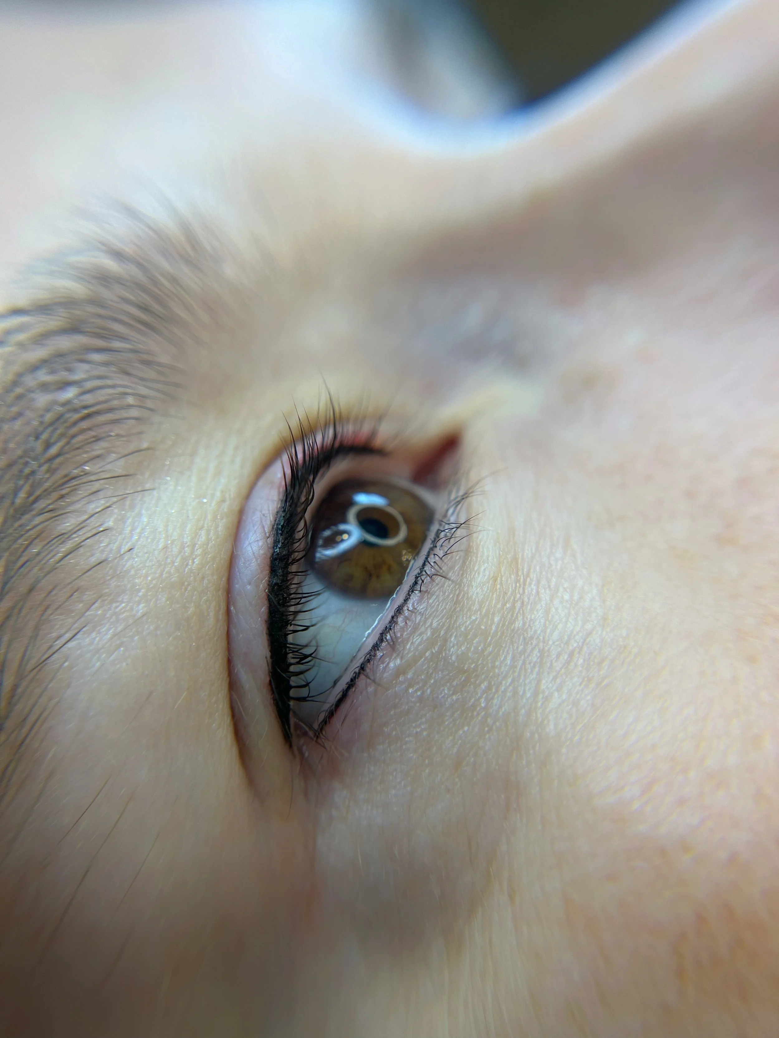 Eyeliner - Classic with lower.jpeg