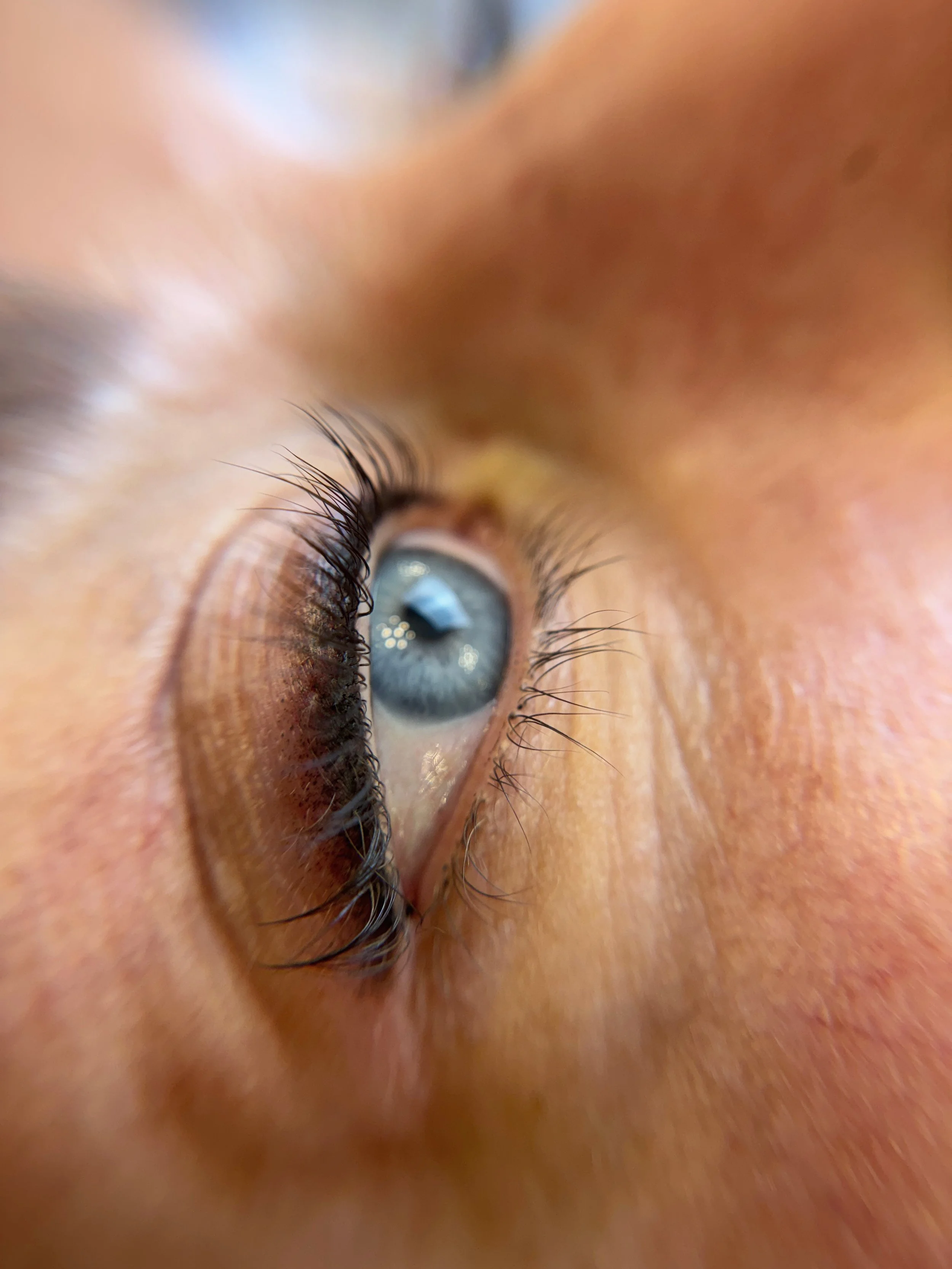 Eyeliner - Shaded.jpeg