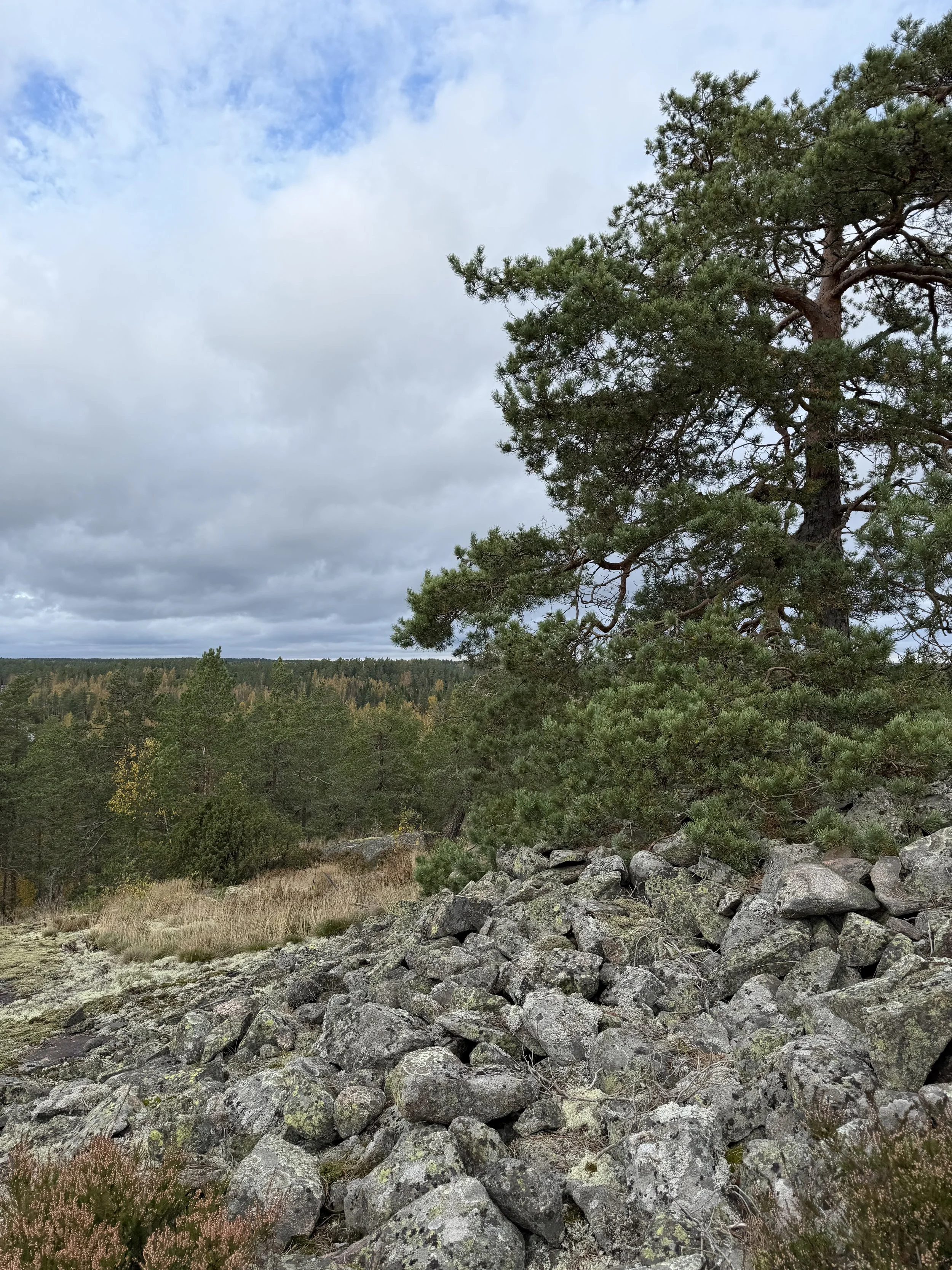 På spaning efter bronsåldern på Kasberget med arkeolog Jan Fast