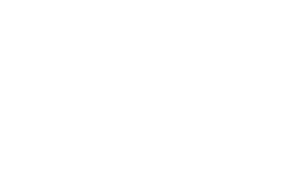 Tiger Leon Photography