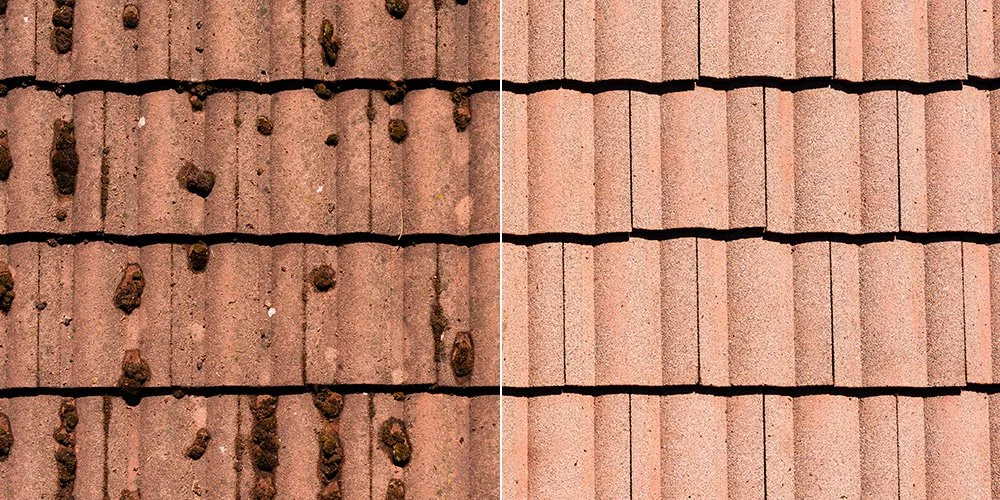 GRS_BEFORE-AFTER_TileRoof.jpg