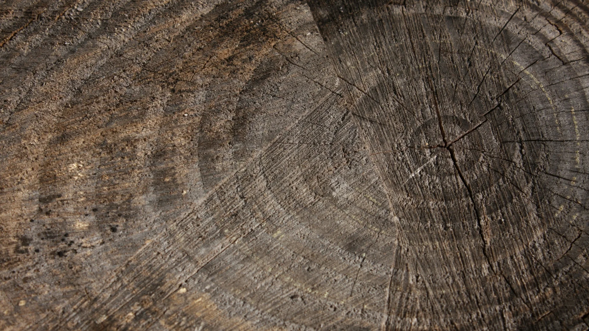 Strategy for Humans Wood Surface