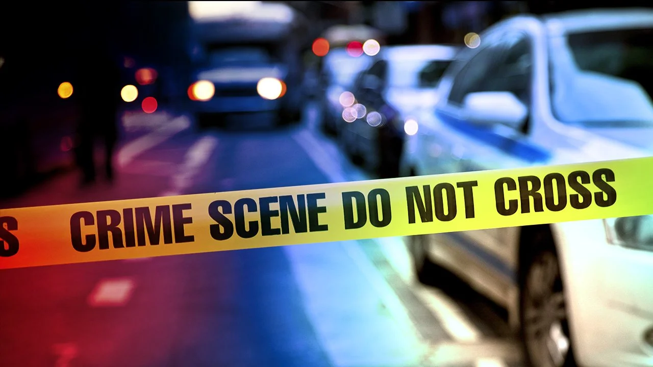 Prosecutors Dismiss Charges Against Chicago Mother and Teen Son in Deadly Restaurant Argument