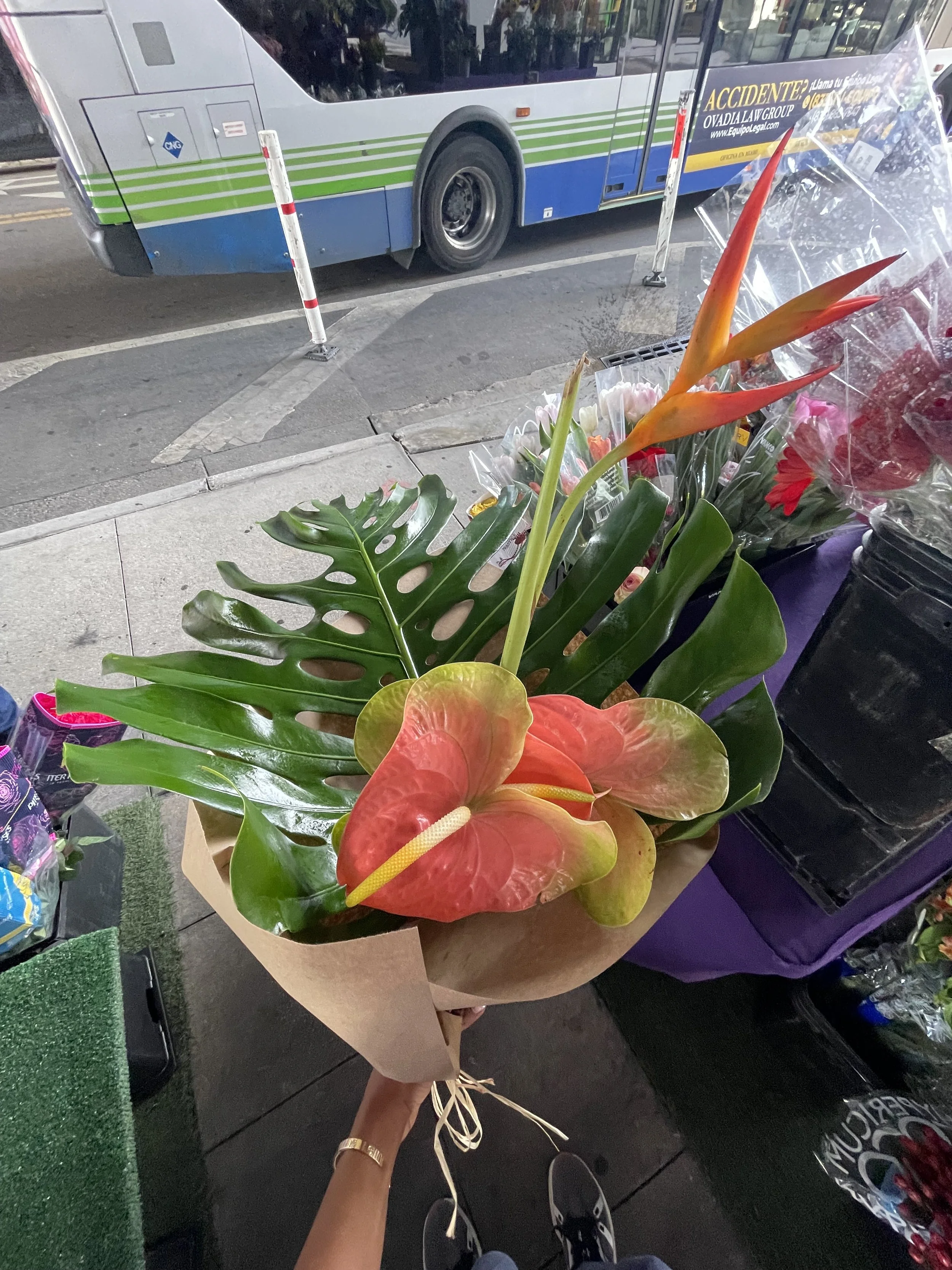 Flores para los muertos: flowers for the dead