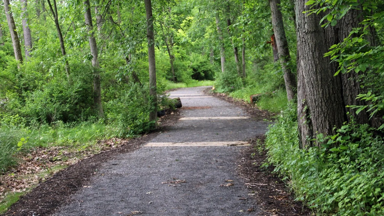 Strail10.jpg