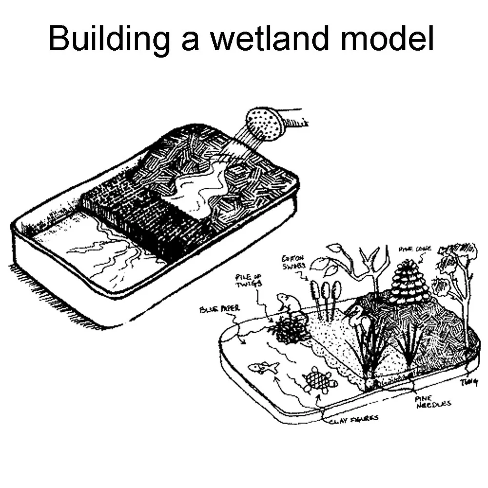 Exploring the Wetland — Hudson Crossing Park