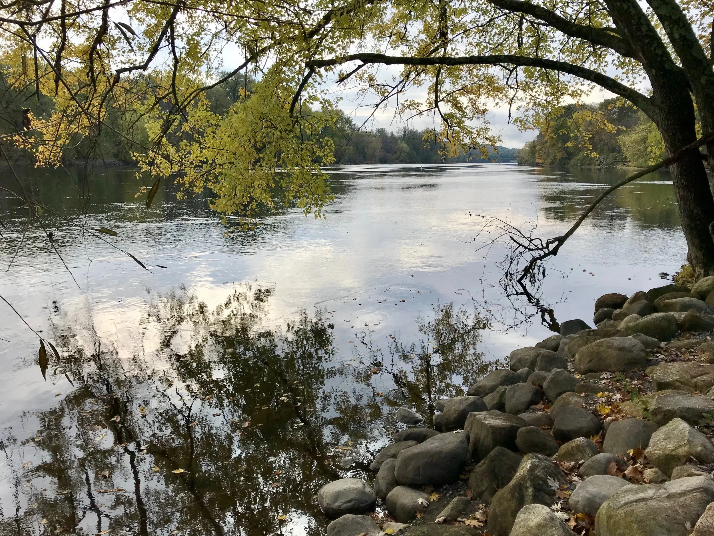 autumn on the hudson.JPG