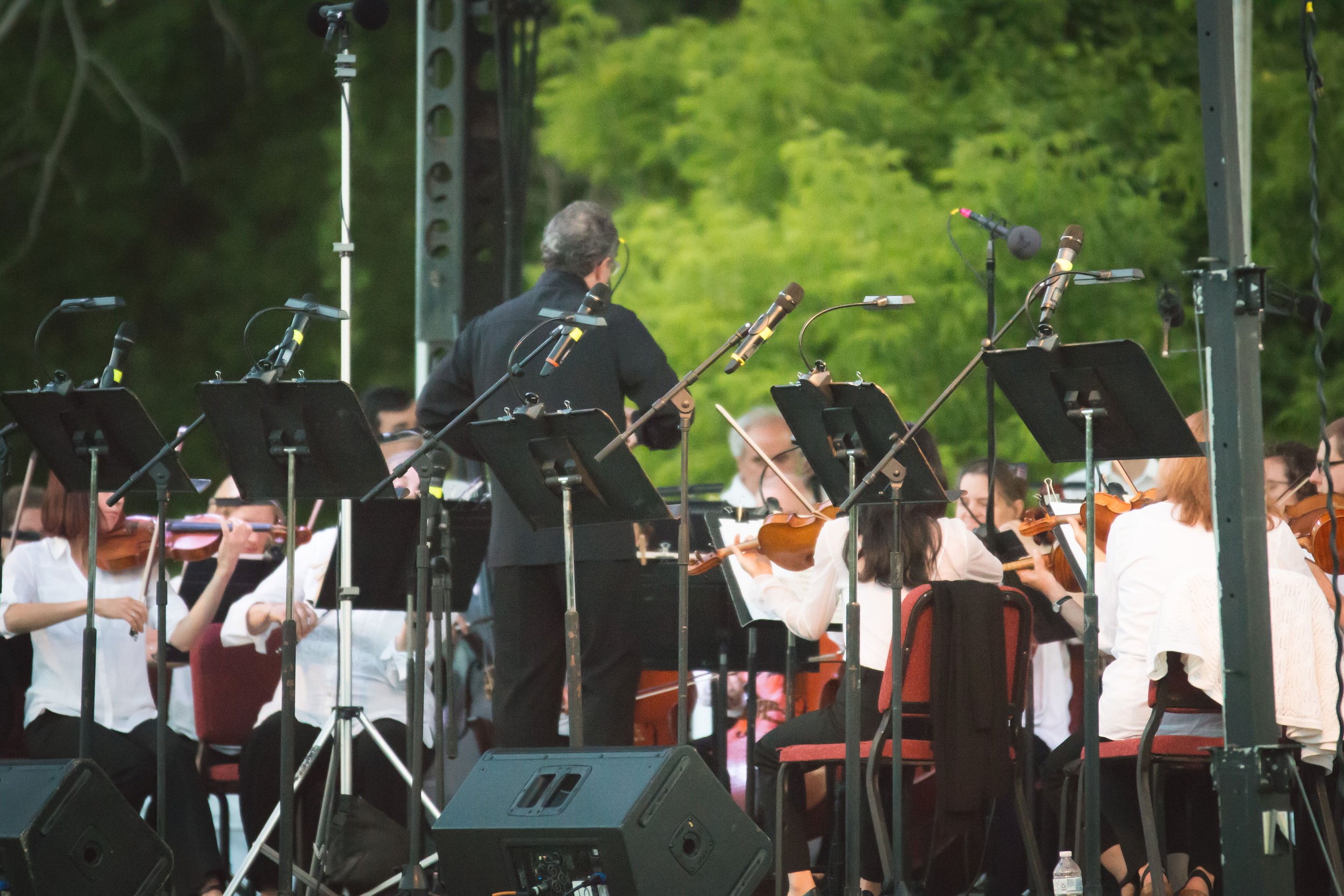 Albany Symphony Orchestra - 7:30pm!