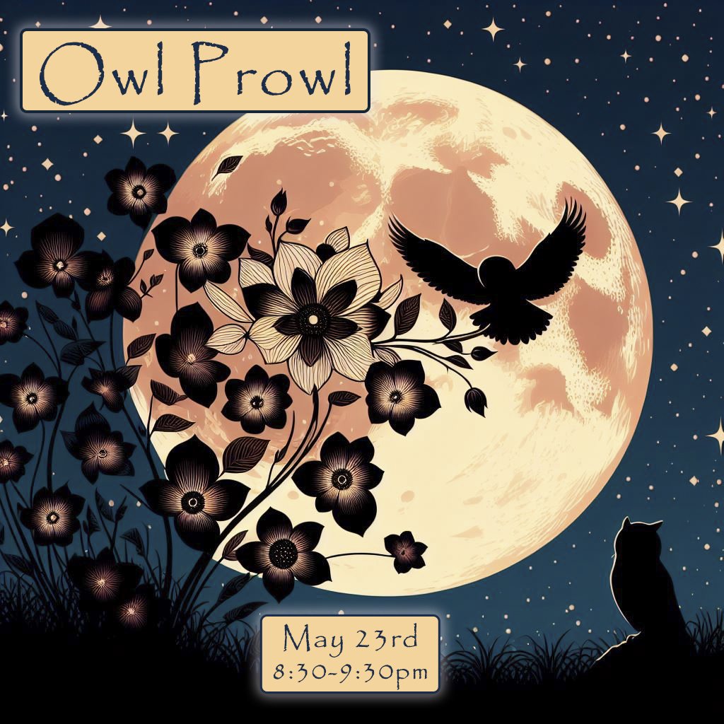 Flower Moon Owl Prowl