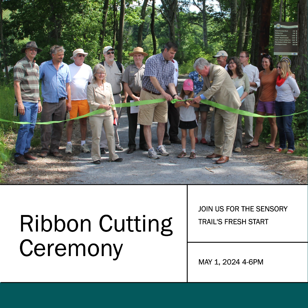 Sensory Trail Ribbon Cutting.png