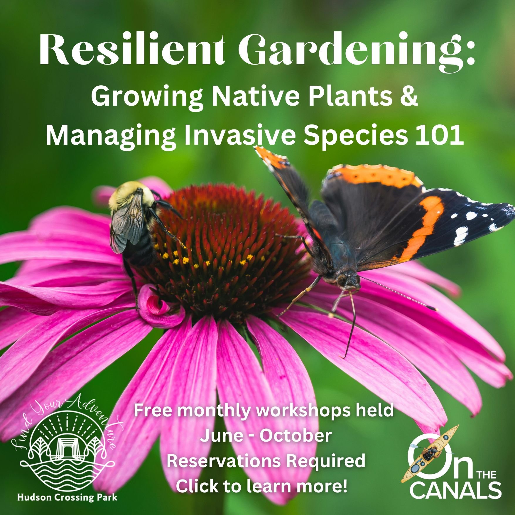 Resilient Gardening 101.jpg