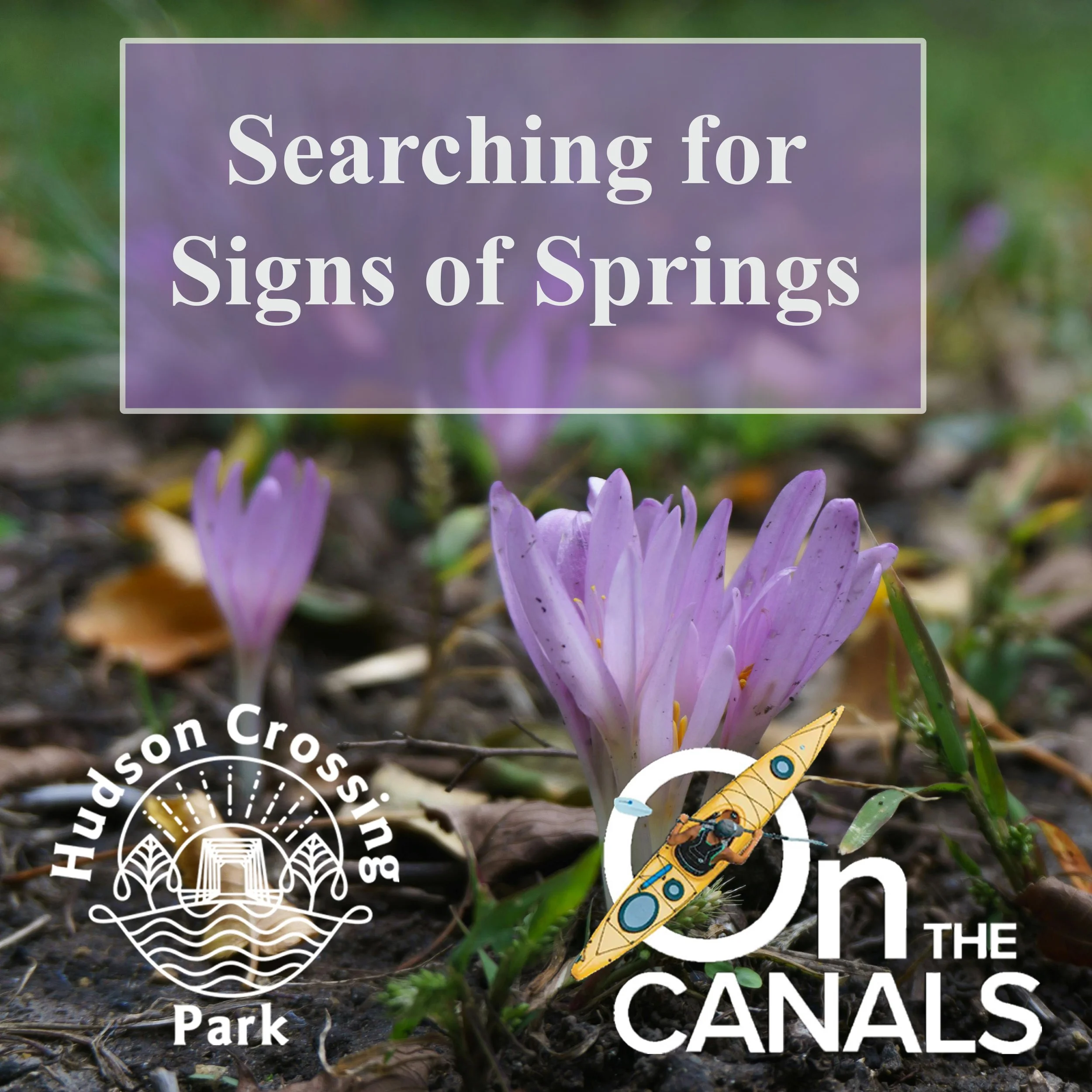 Signs of Spring 2026.jpg