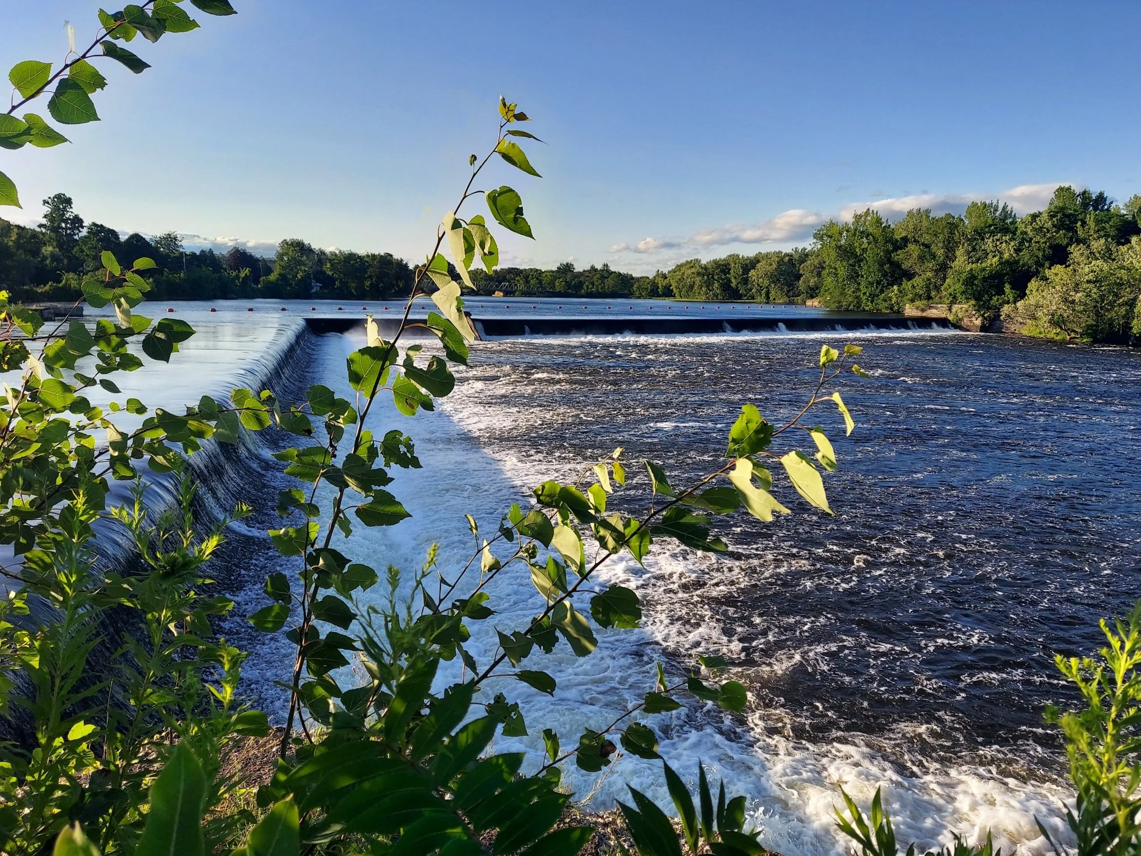 Hikes and History 2025 (2).jpg