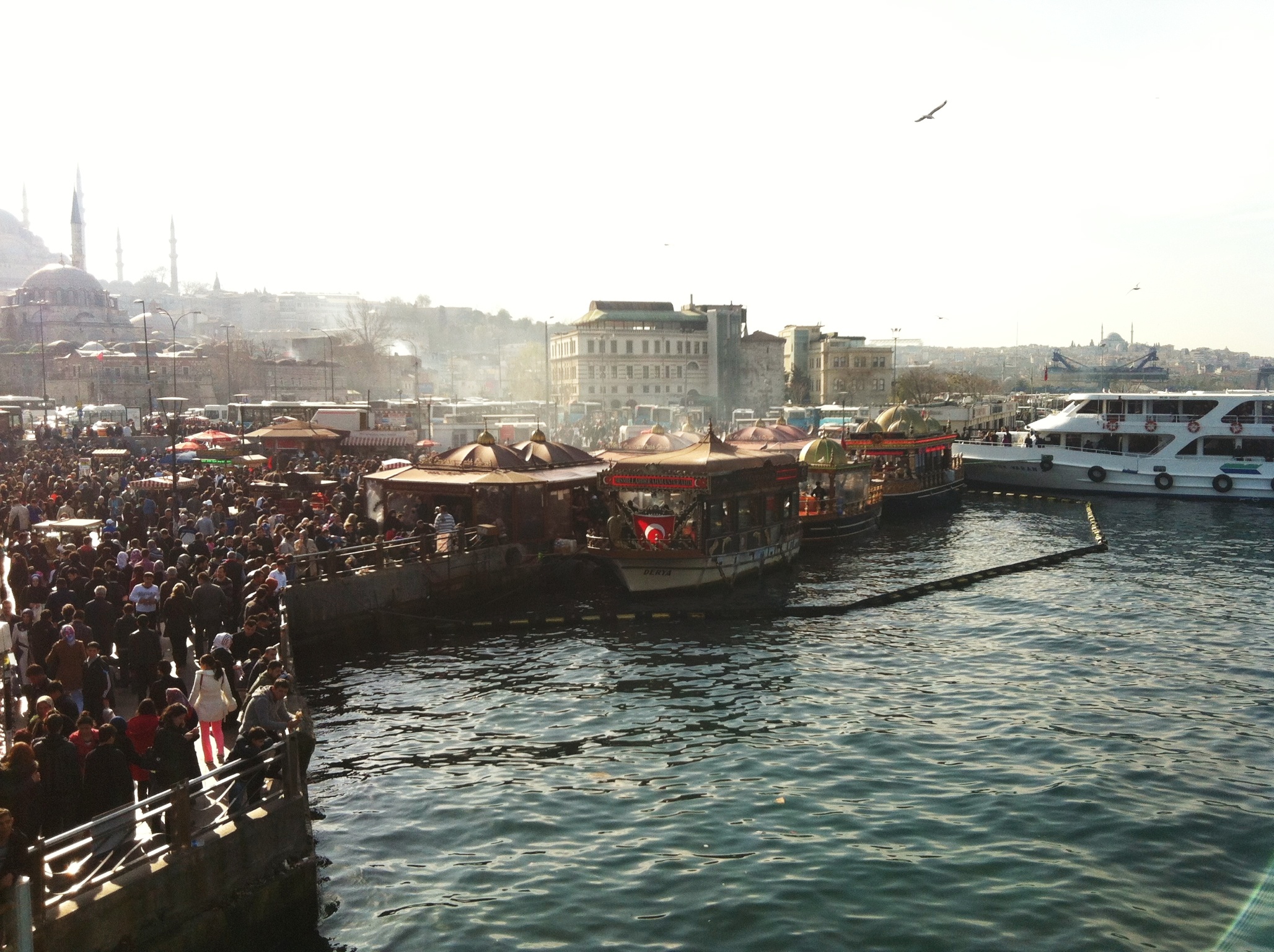 2015-01-15 08.30.53.jpg