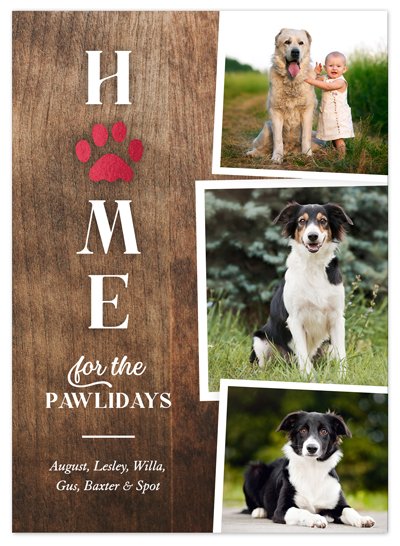 Pawliday Home