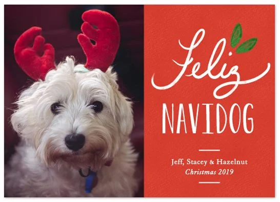 Feliz Holly