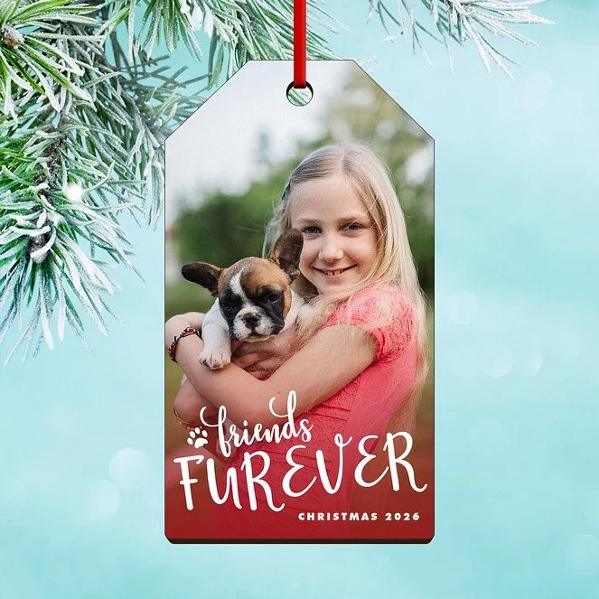 Furever Friends