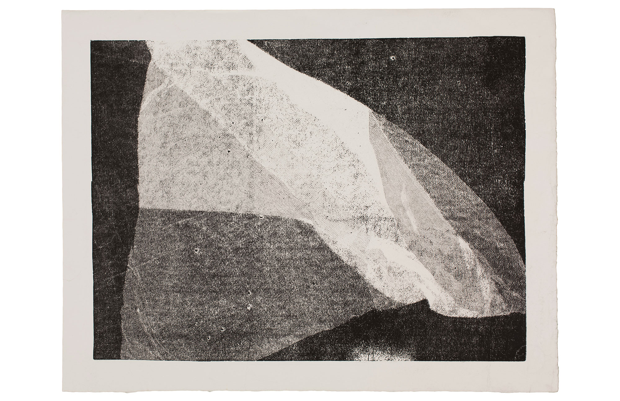   Sem Título, 2016. Monotipia. 51 x 40 cm (Papel) | 44,5 x 33,5 cm (Img.)    Untitled, 2016. Monotype 51 x 40 cm (Paper) | 44,5 x 33,5 cm (Img.)  