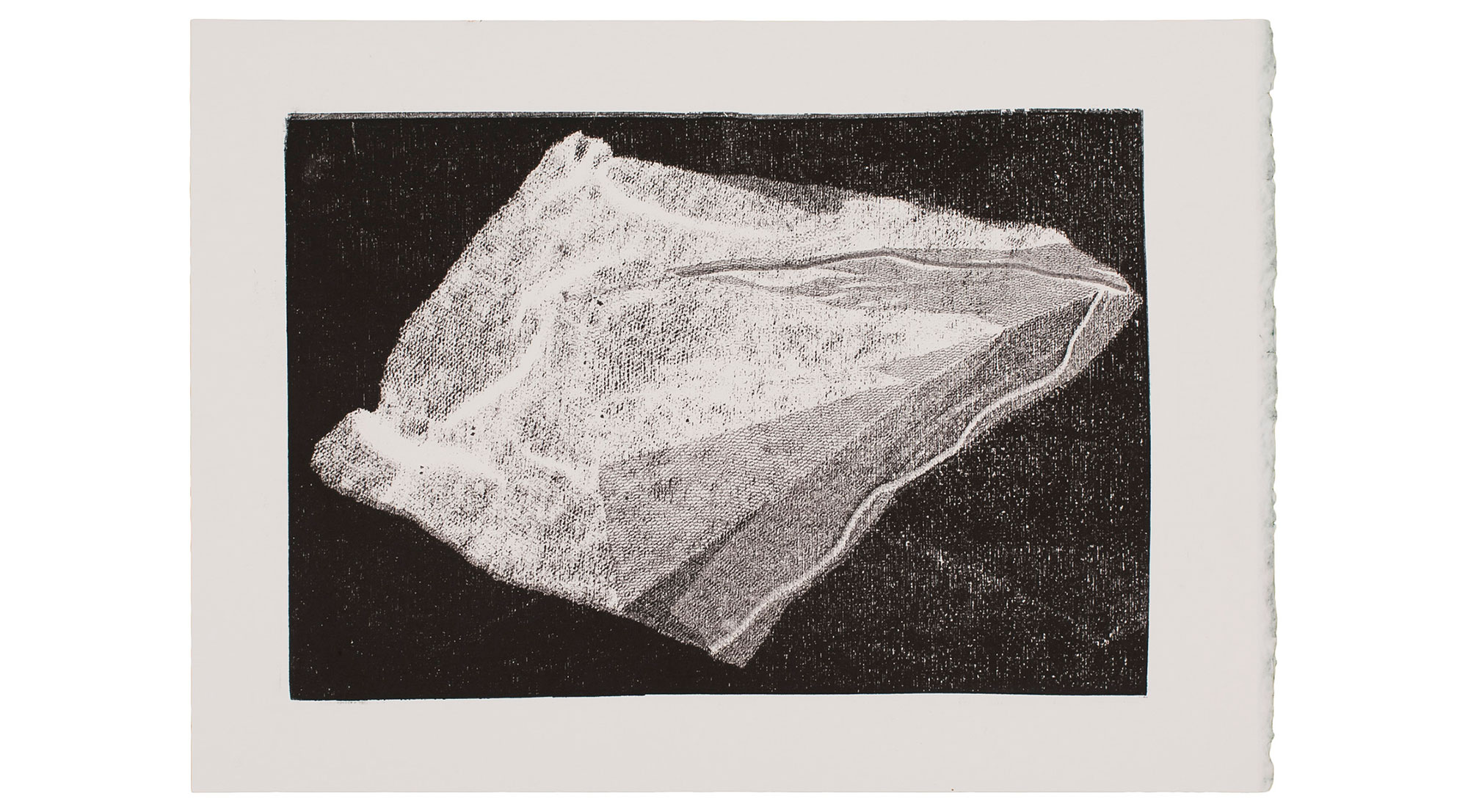   Sem Título, 2016. Monotipia. 35 x 25 cm (Papel) | 28 x 19 cm (Img.)    Untitled, 2016. Monotype 35 x 25cm (Paper) | 28 x 19 cm (Img.)  