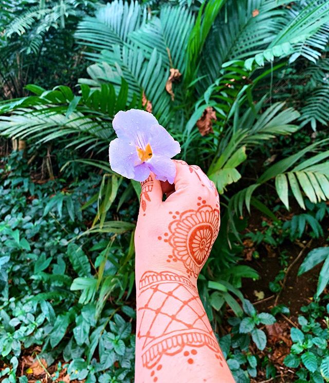 Dreaming of a life in Hawaii where I can play in the jungle everyday.
#theperiplochapter
#kingdomofhawaii
#manifestdestiny