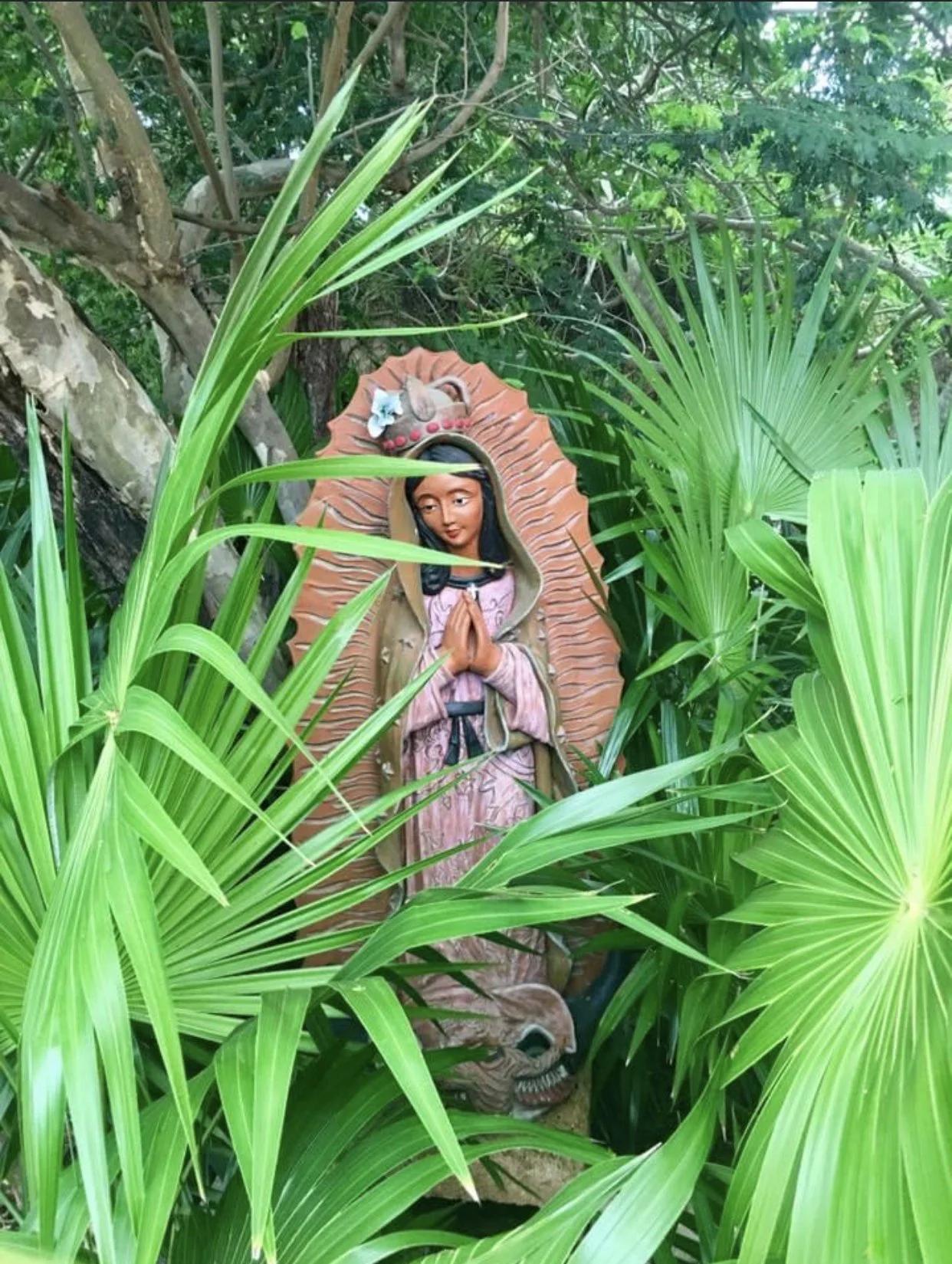 The Divine Human Project