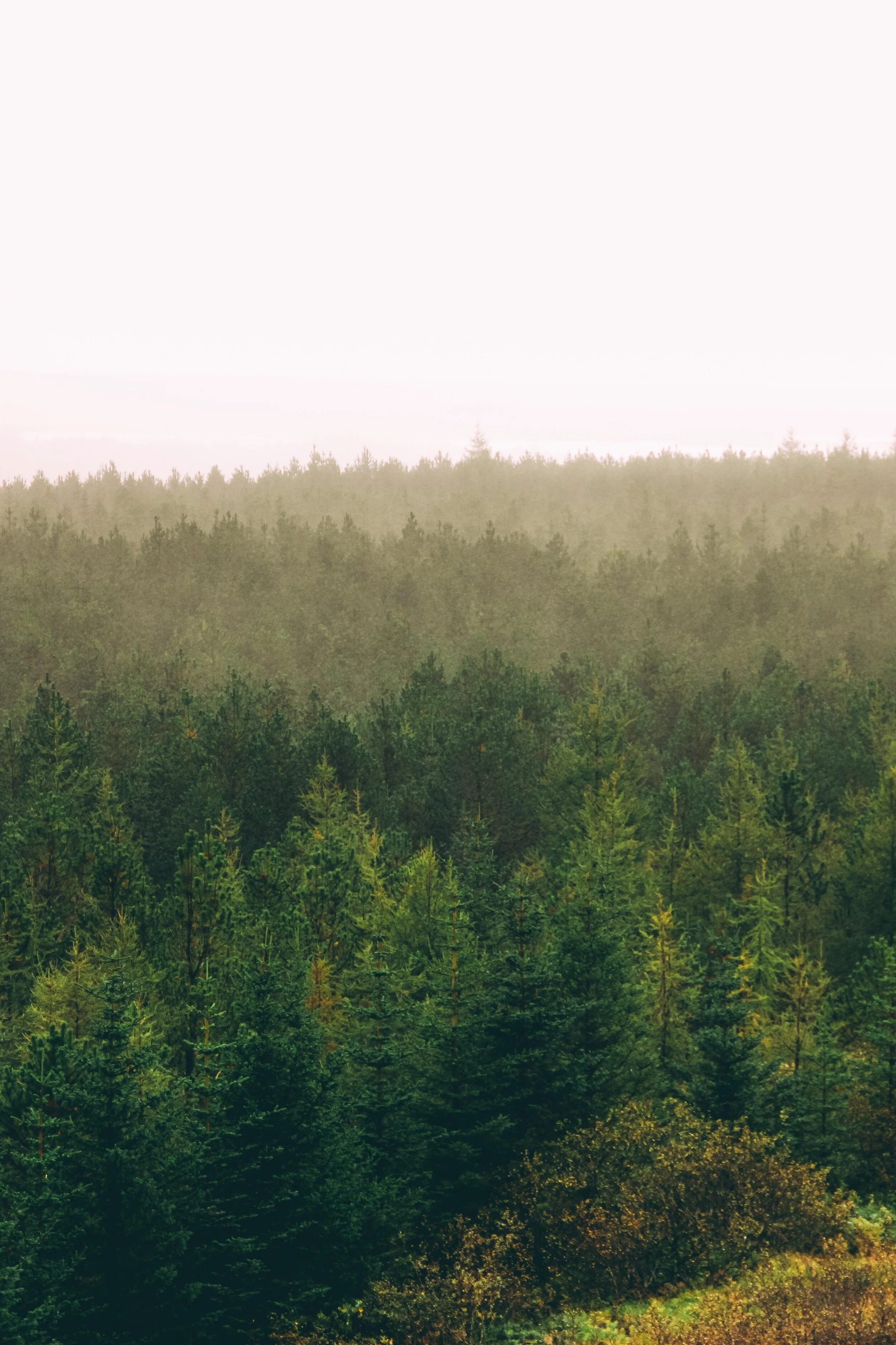 Iceland (Web) Selected-003.jpg