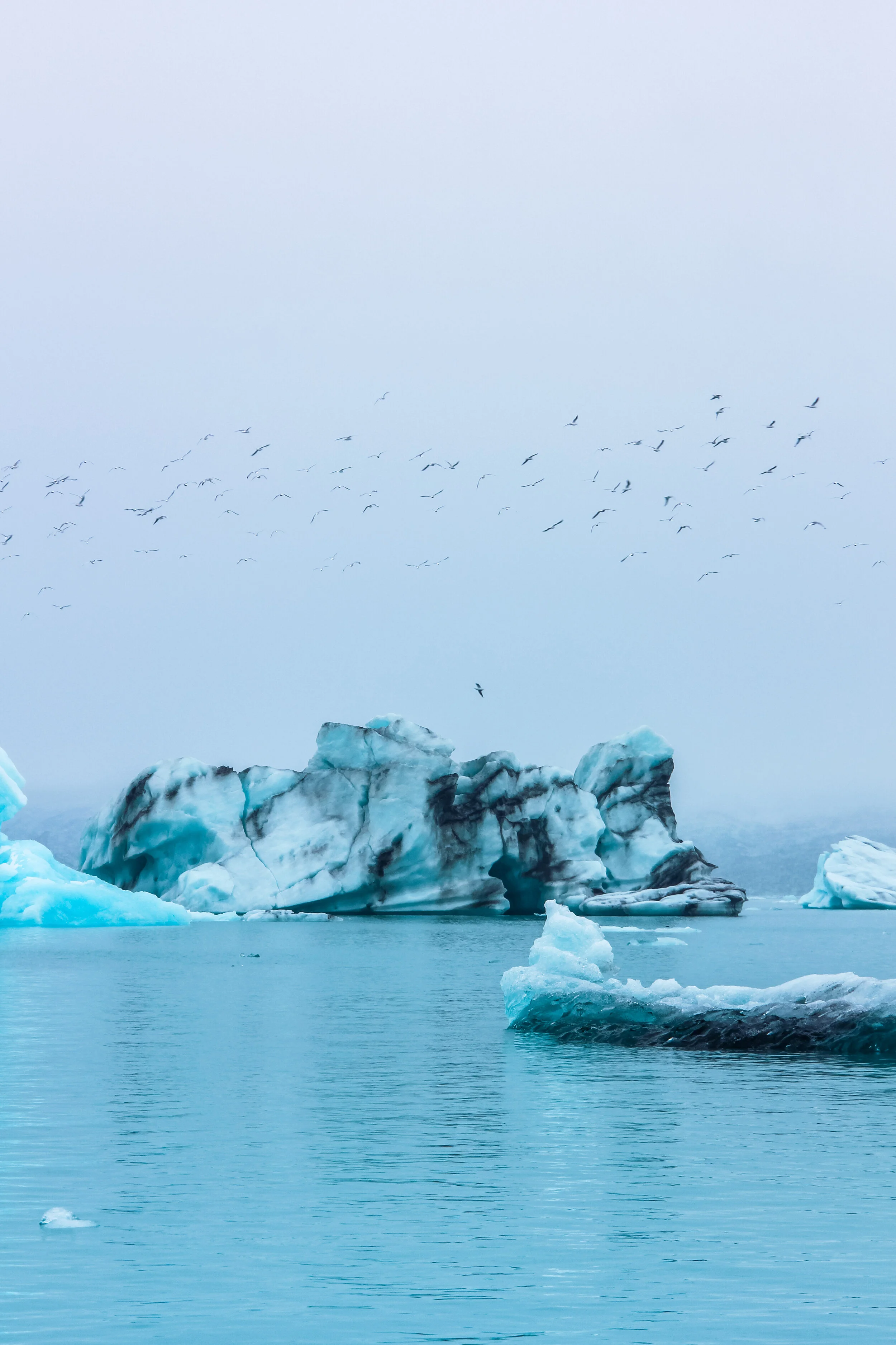 Iceland (Web) Selected-009.jpg