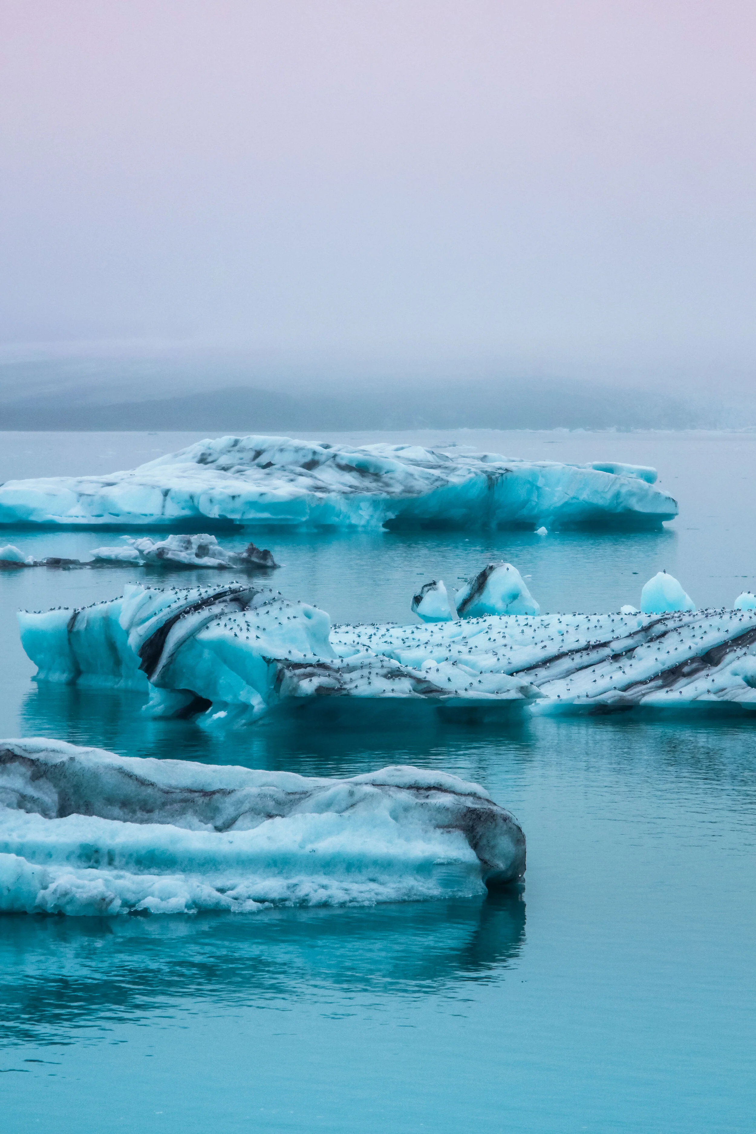 Iceland (Web) Selected-011.jpg