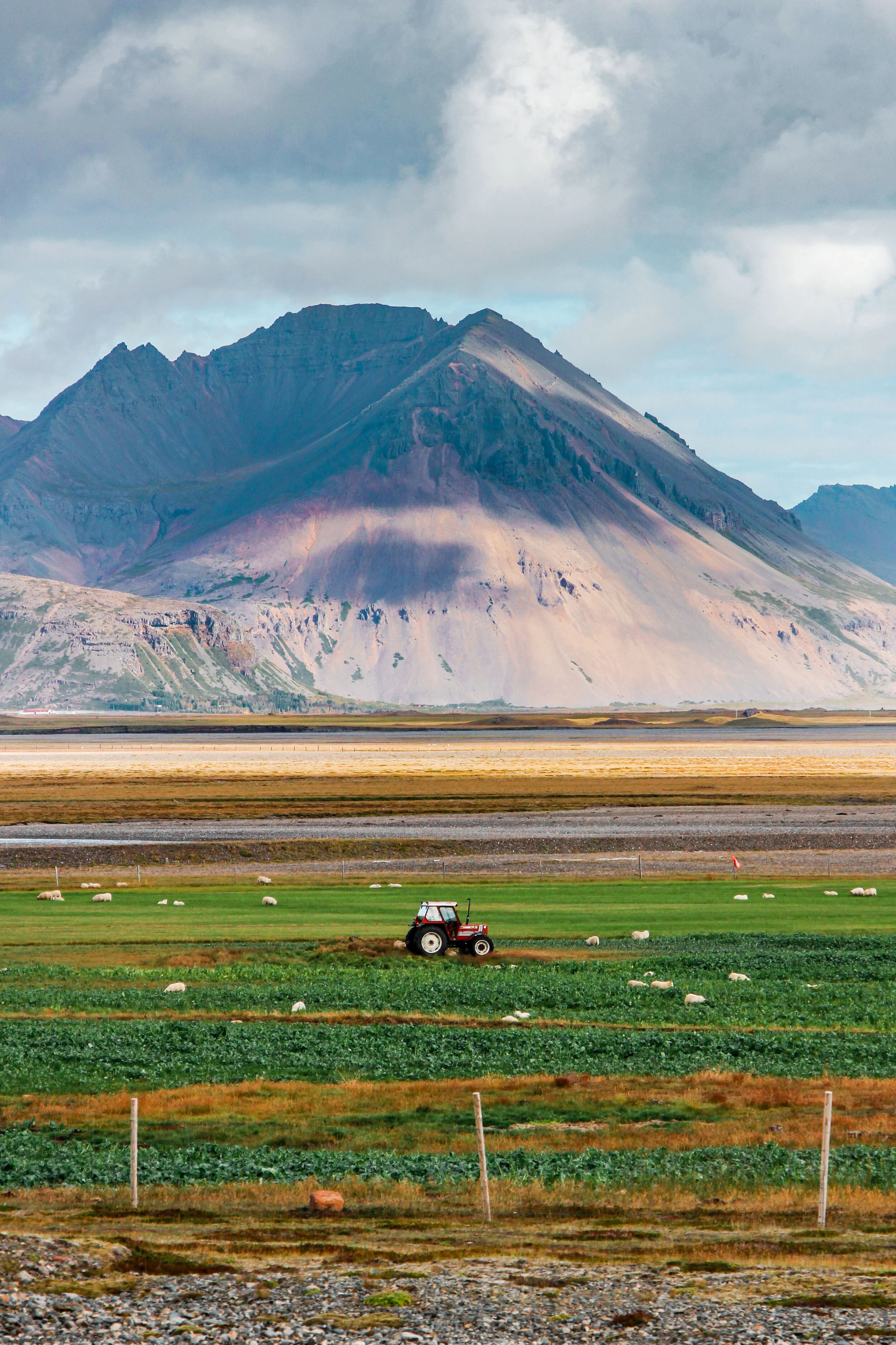 Iceland (Web) Selected-020.jpg