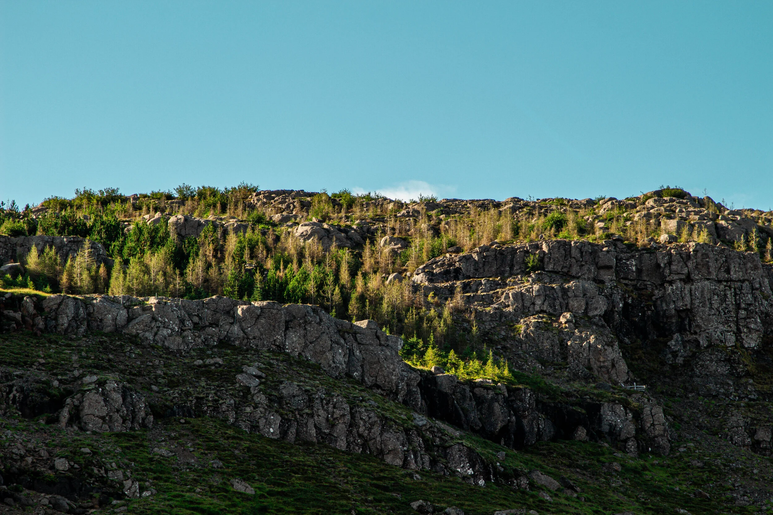 Iceland (Web) Selected-023.jpg