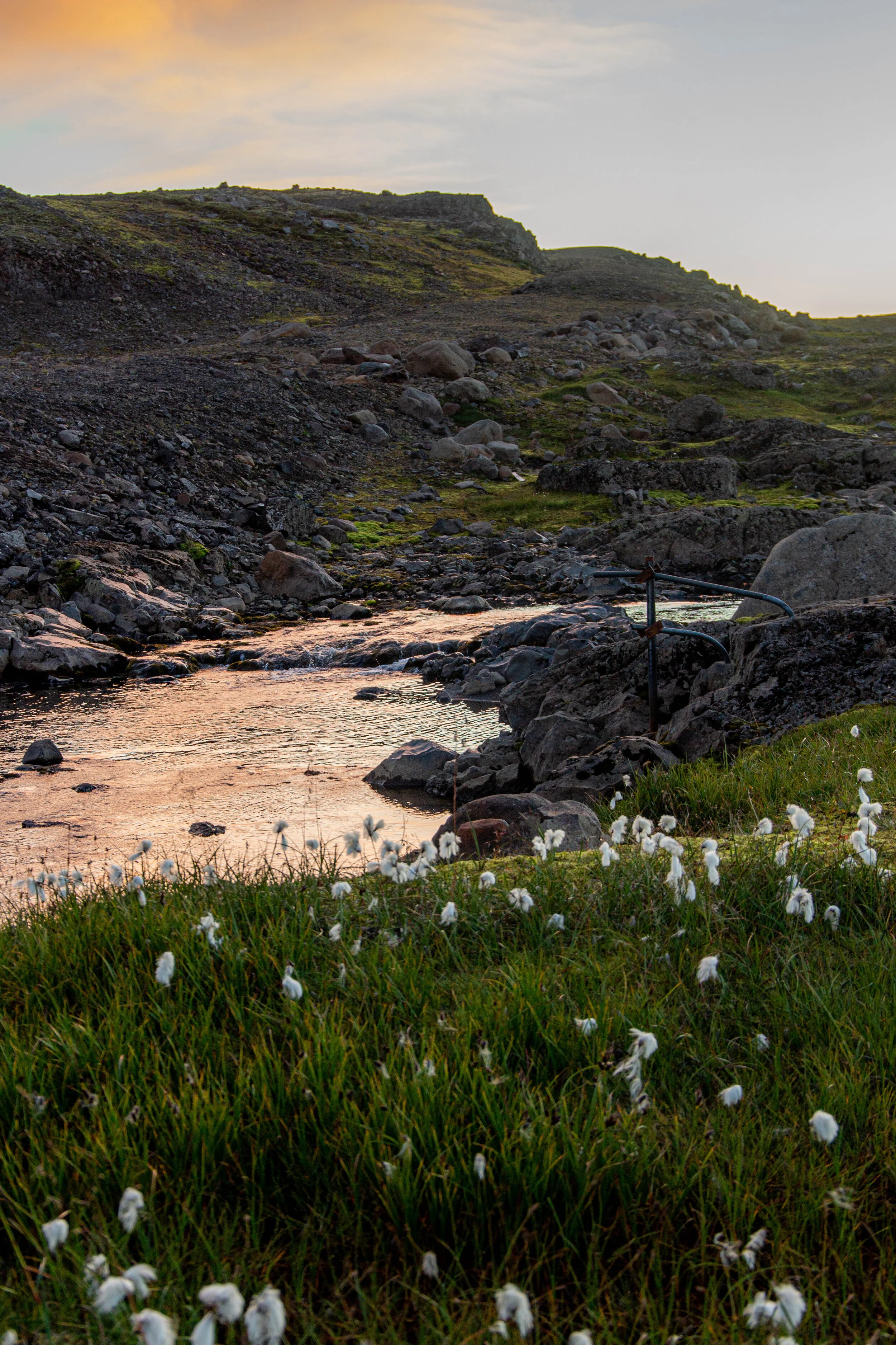 Iceland (Web) Selected-030.jpg