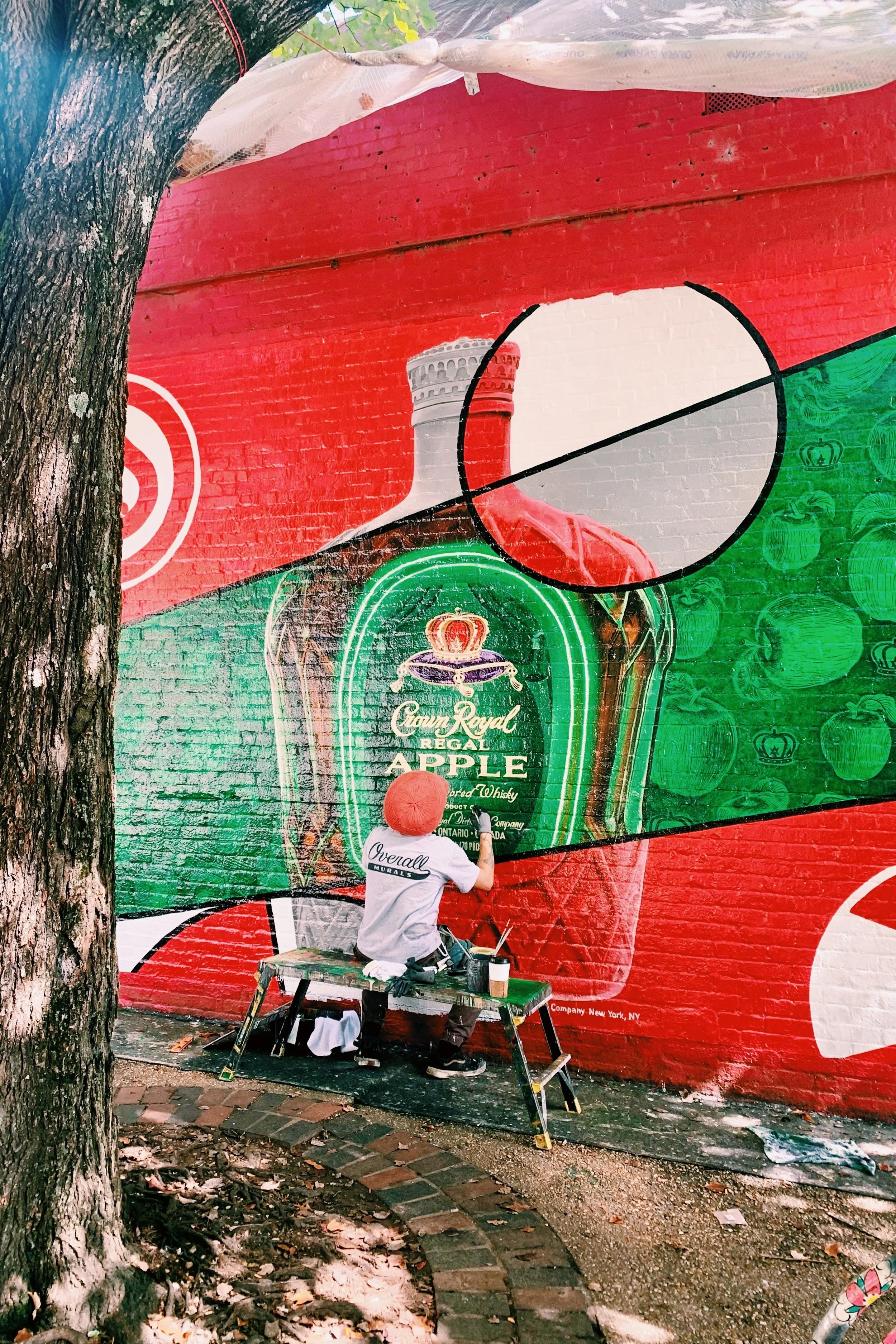 The States - 16.jpeg