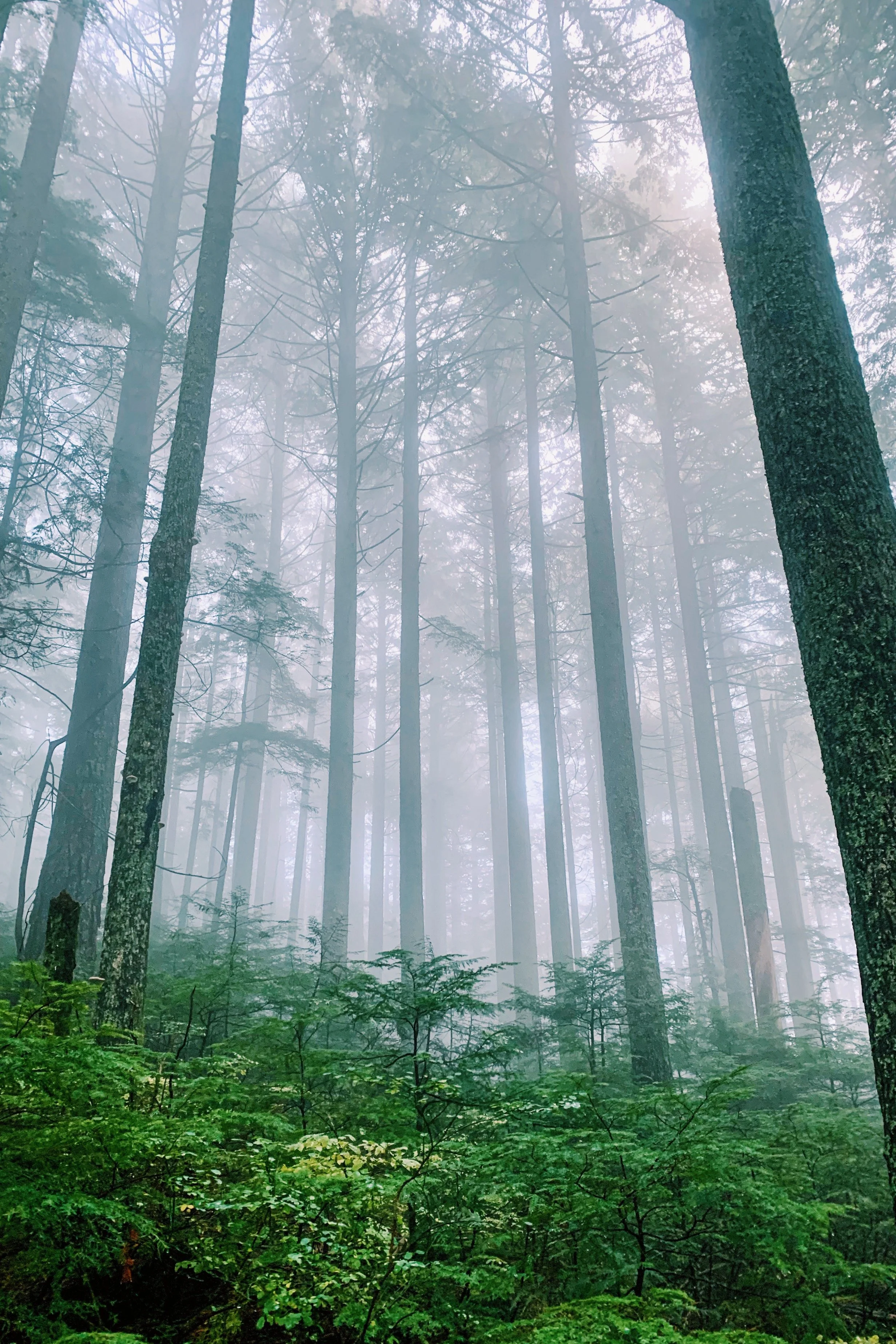 The States - 19.jpeg