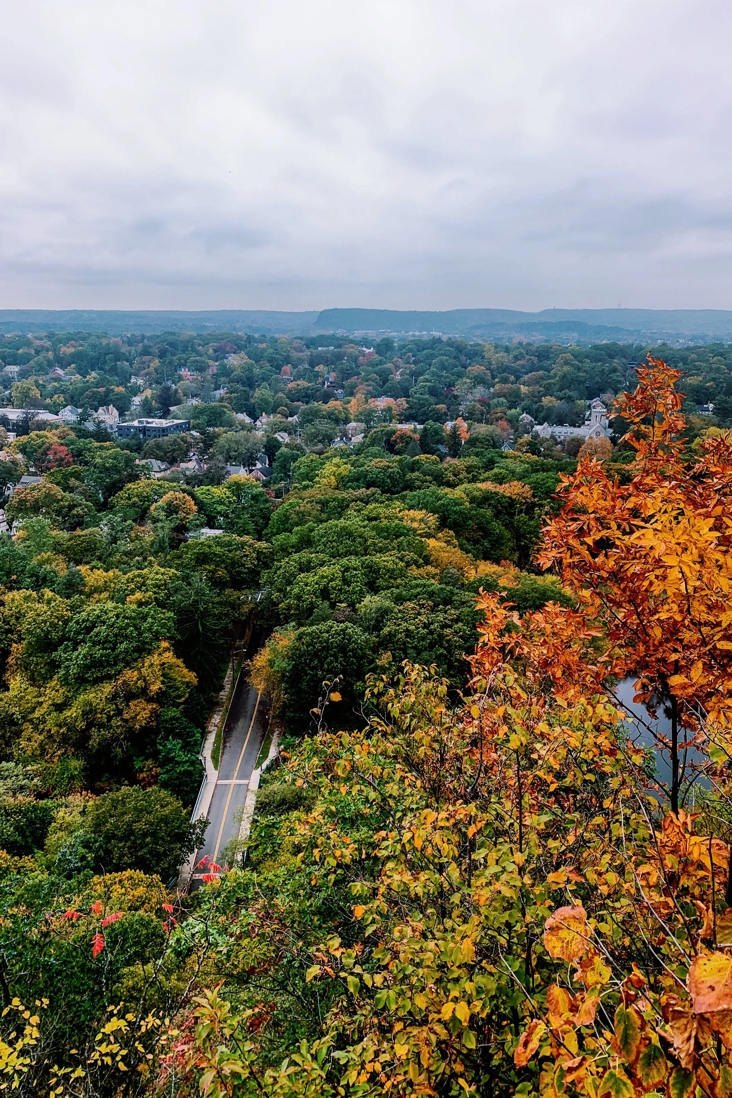 The States - 23.jpeg