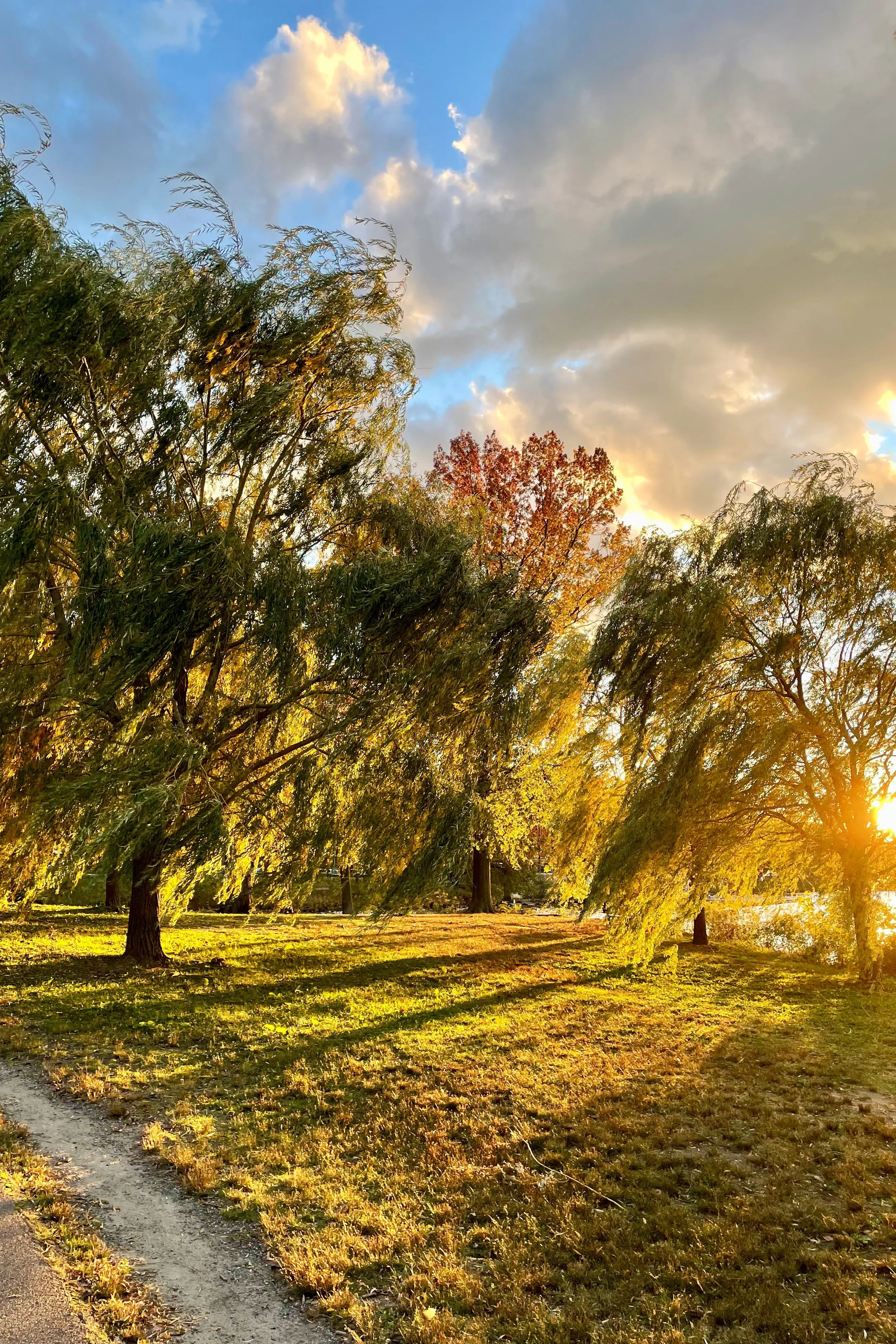 The States - 24.jpeg