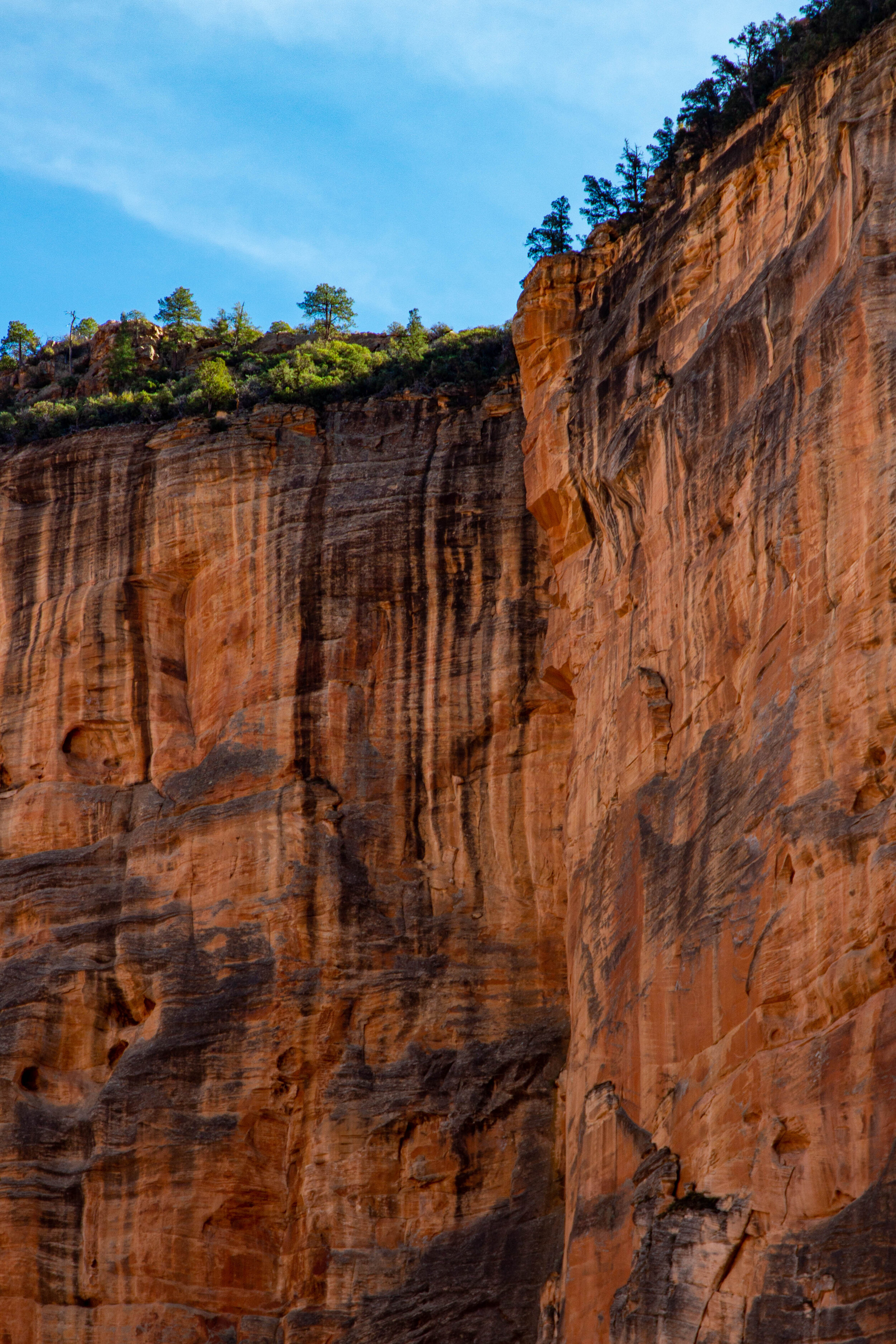 Arizona Selected-002.jpg