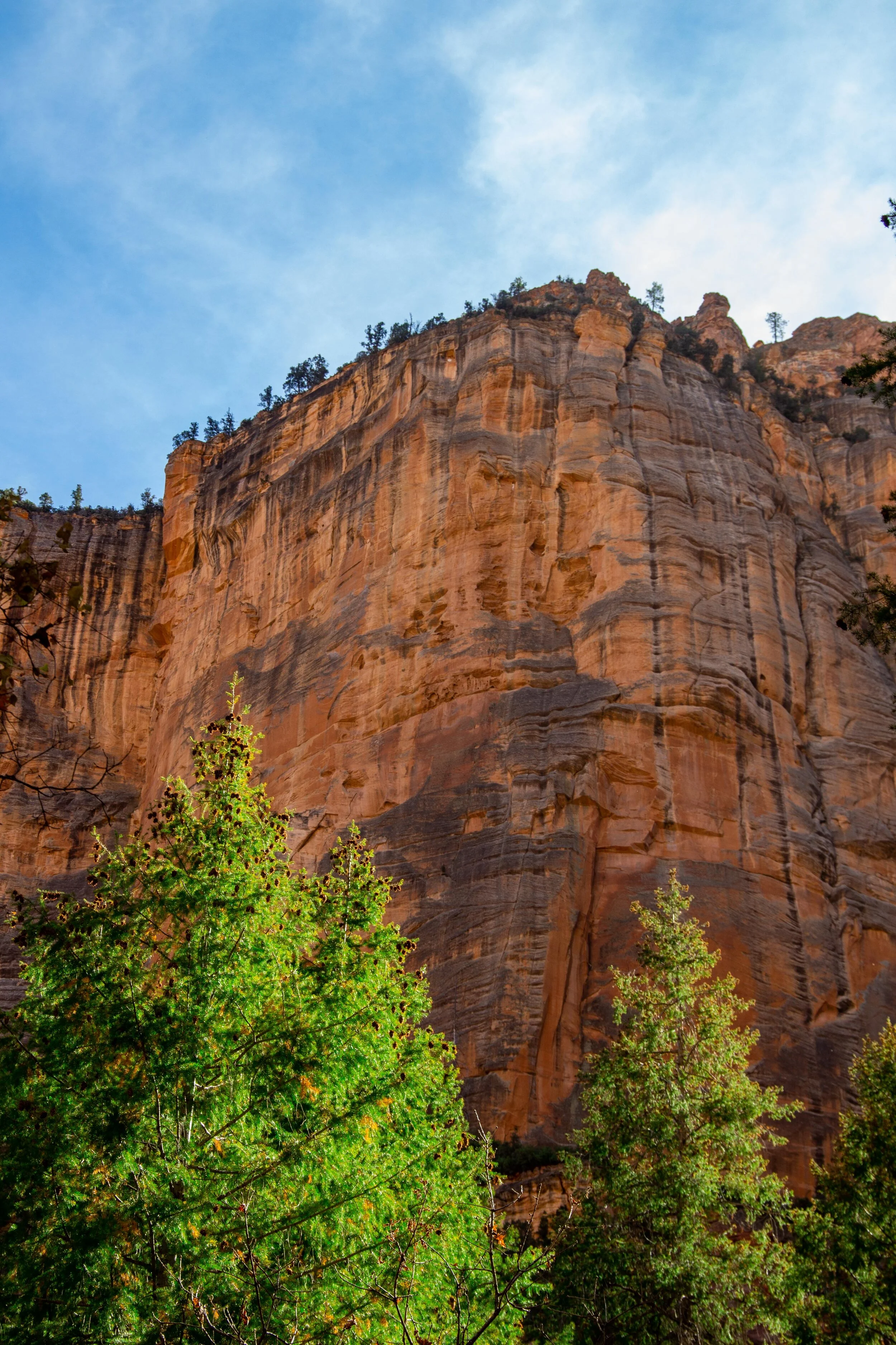 Arizona Selected-001.jpg